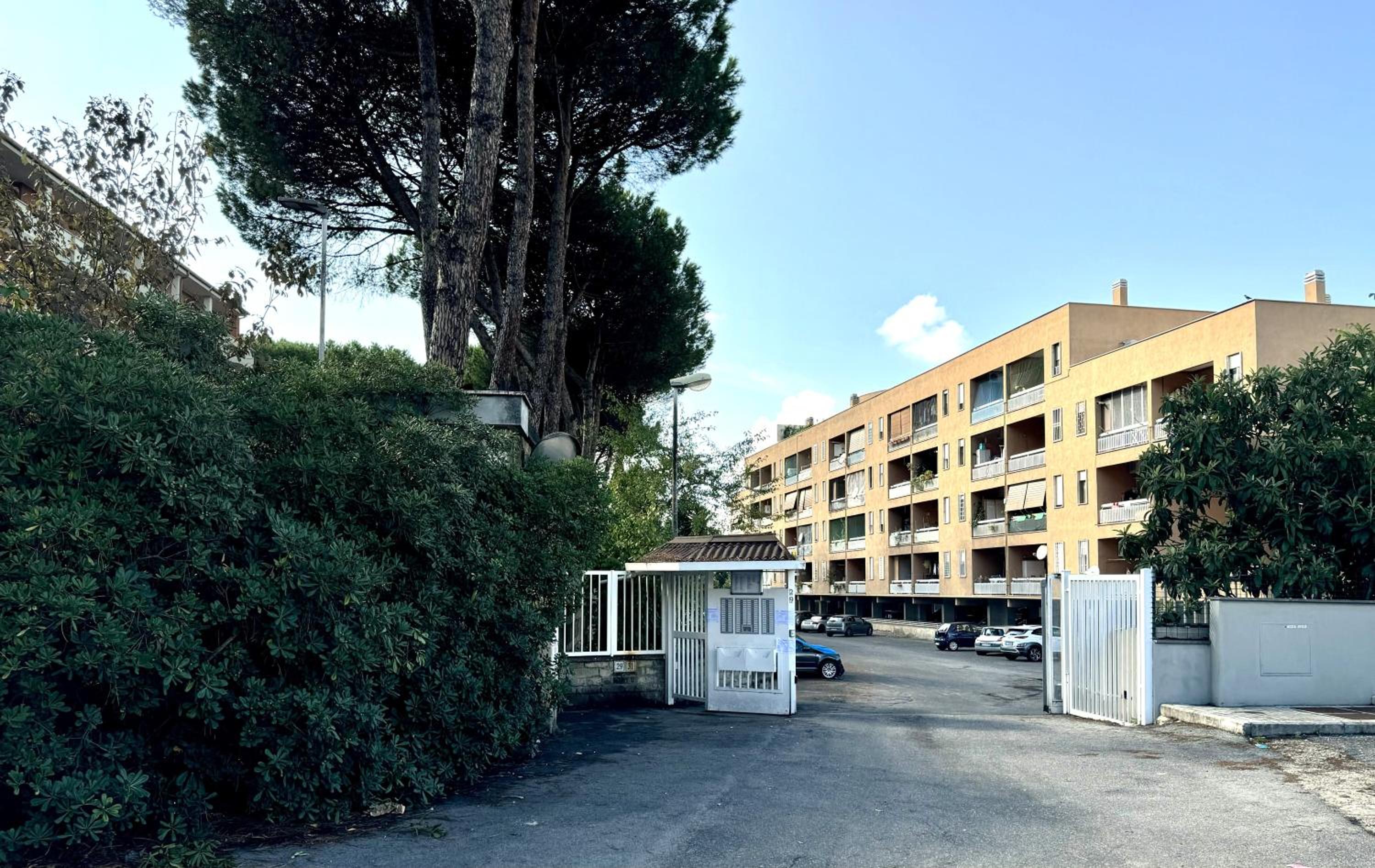 Vivi l'Attimo
