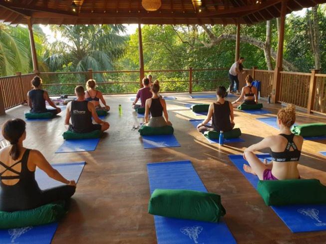 Praana Ayurvedic Boutique Villa