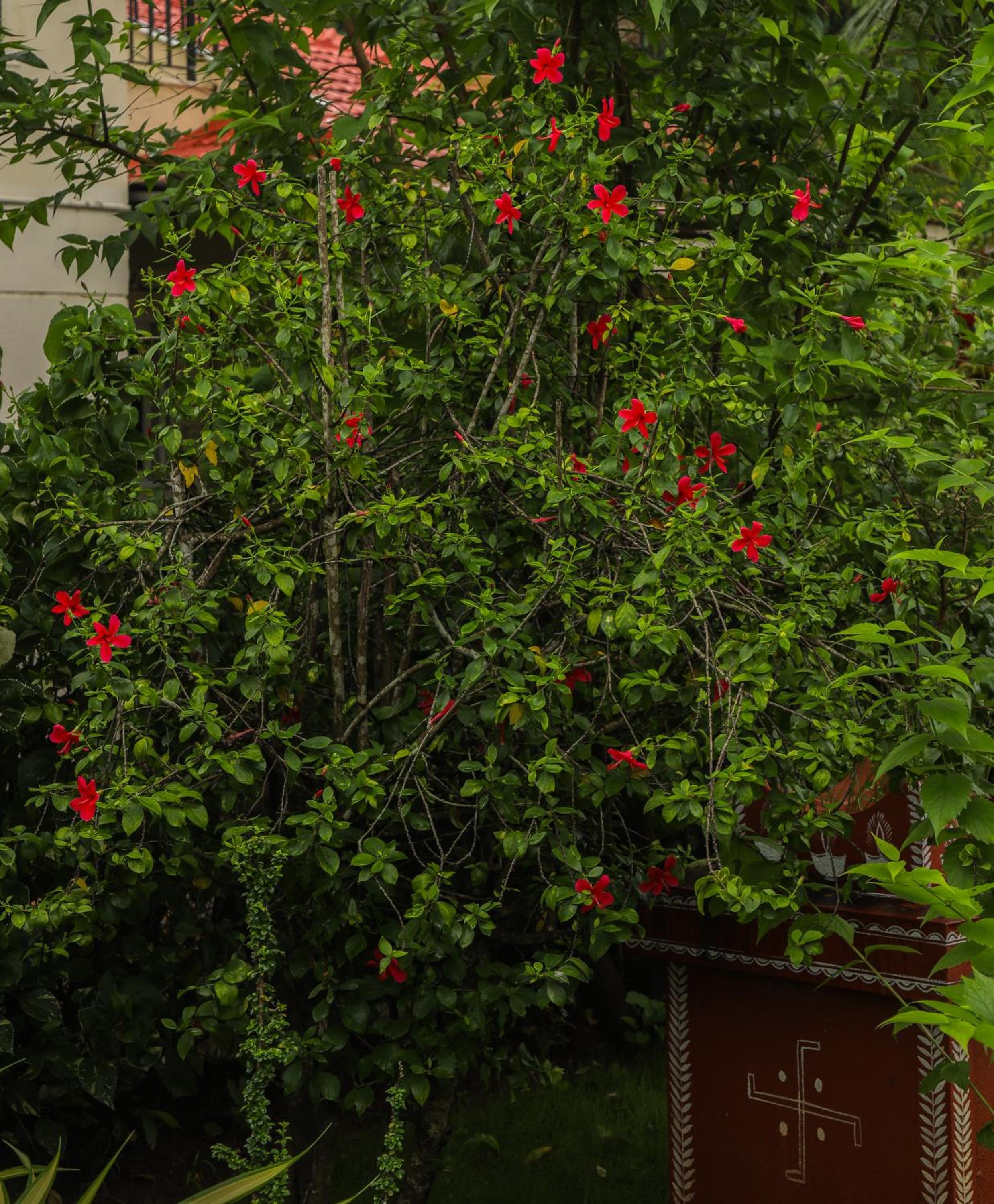 Photo 47