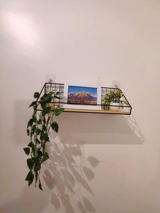 Photo 45