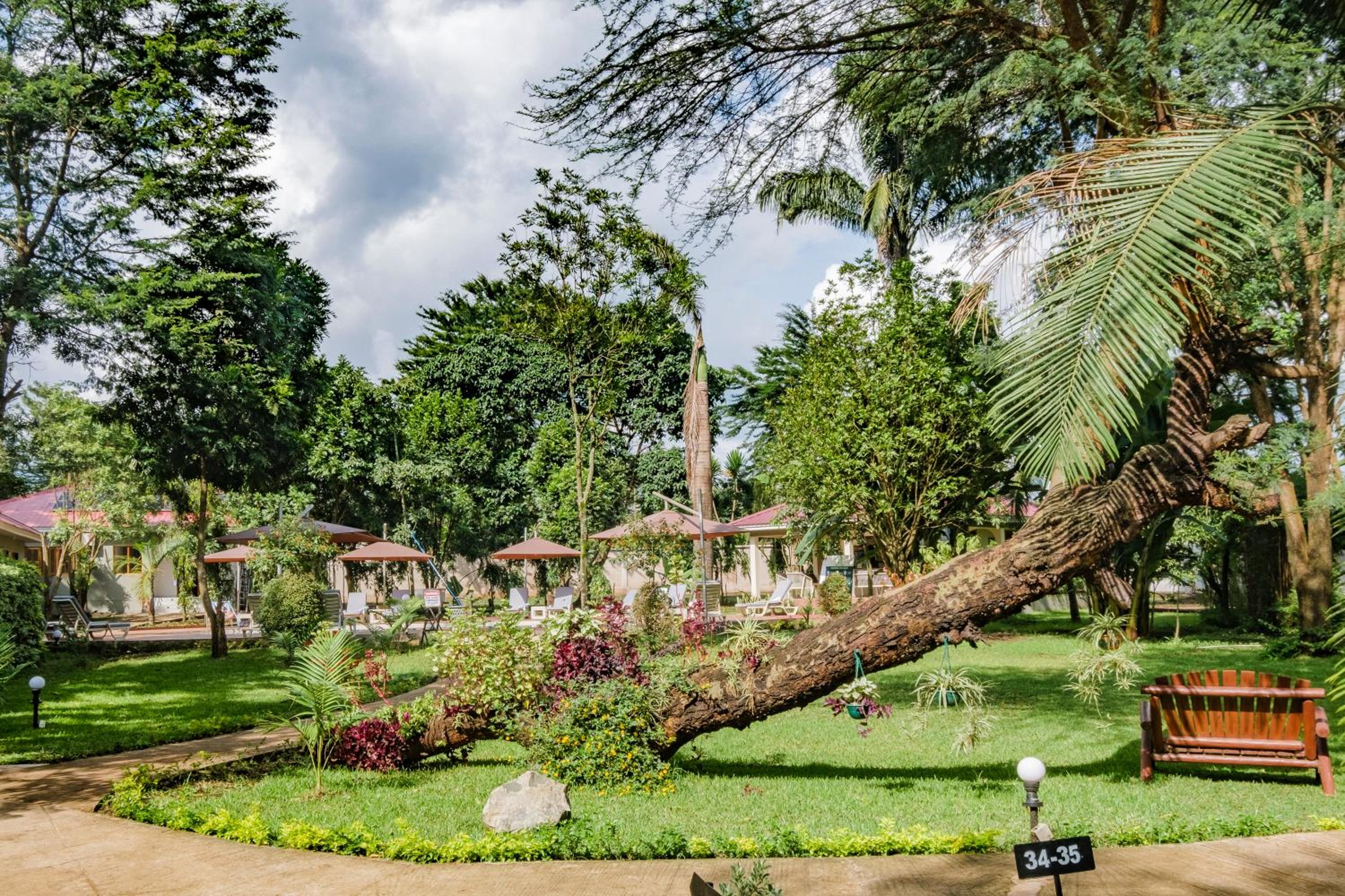 Arusha Planet Lodge view 4
