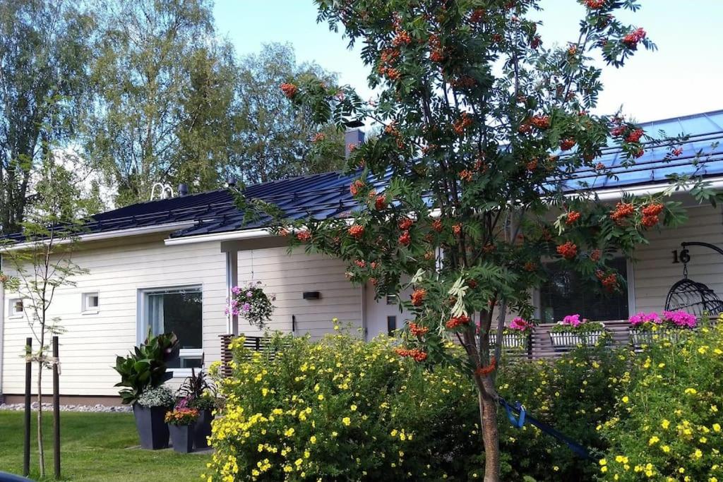 Villa It's Arctic Magic!