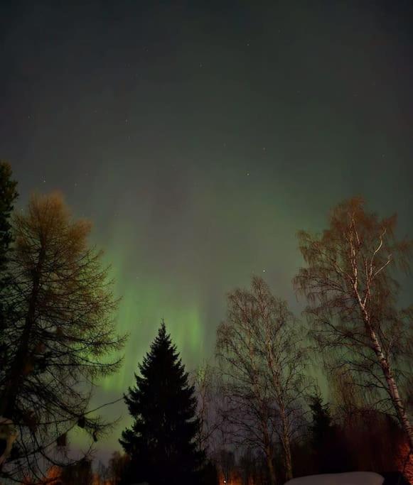 Villa It's Arctic Magic!