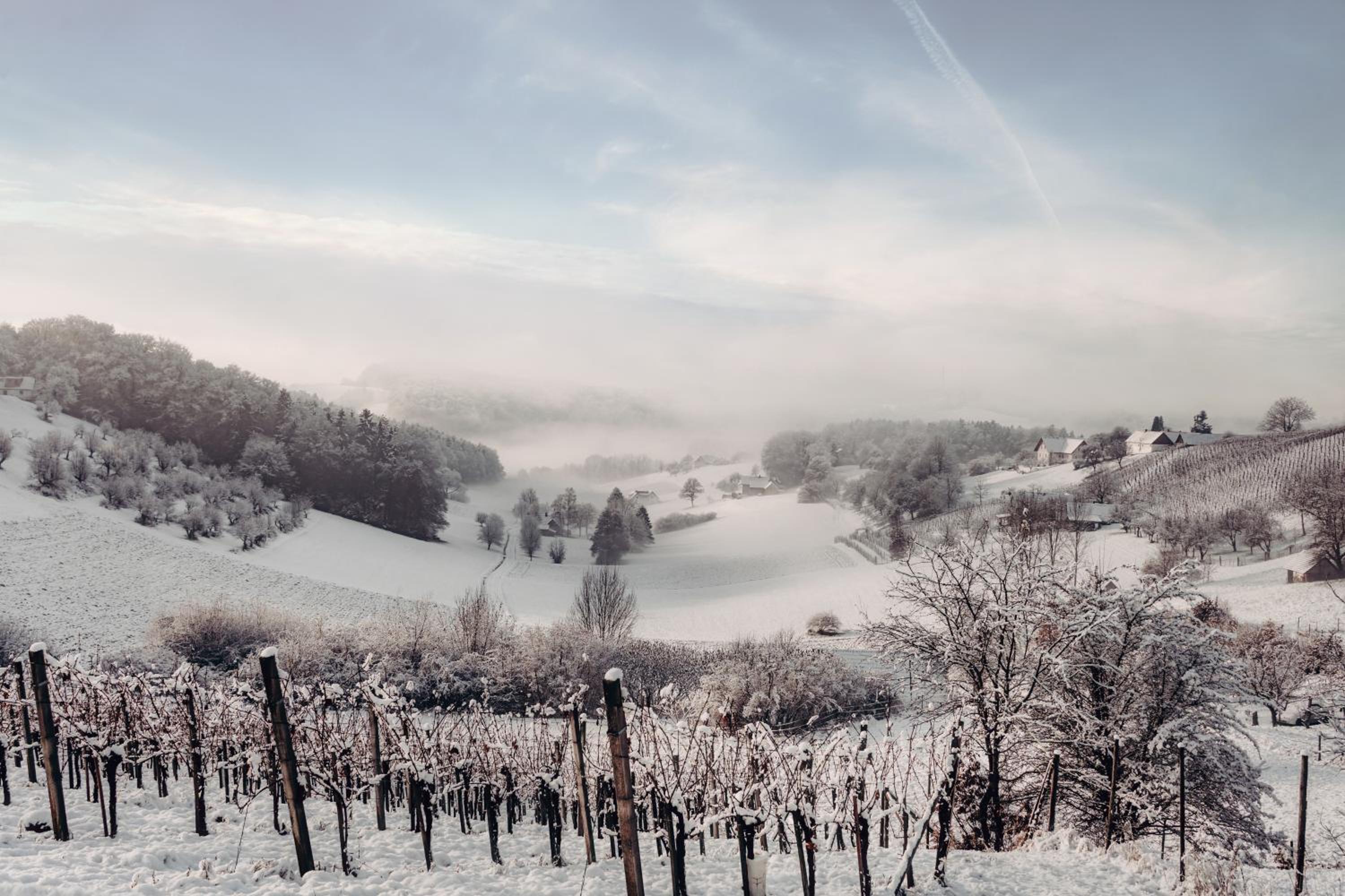 Weingarten-Resort Unterlamm Loipersdorf - ADULTS ONLY