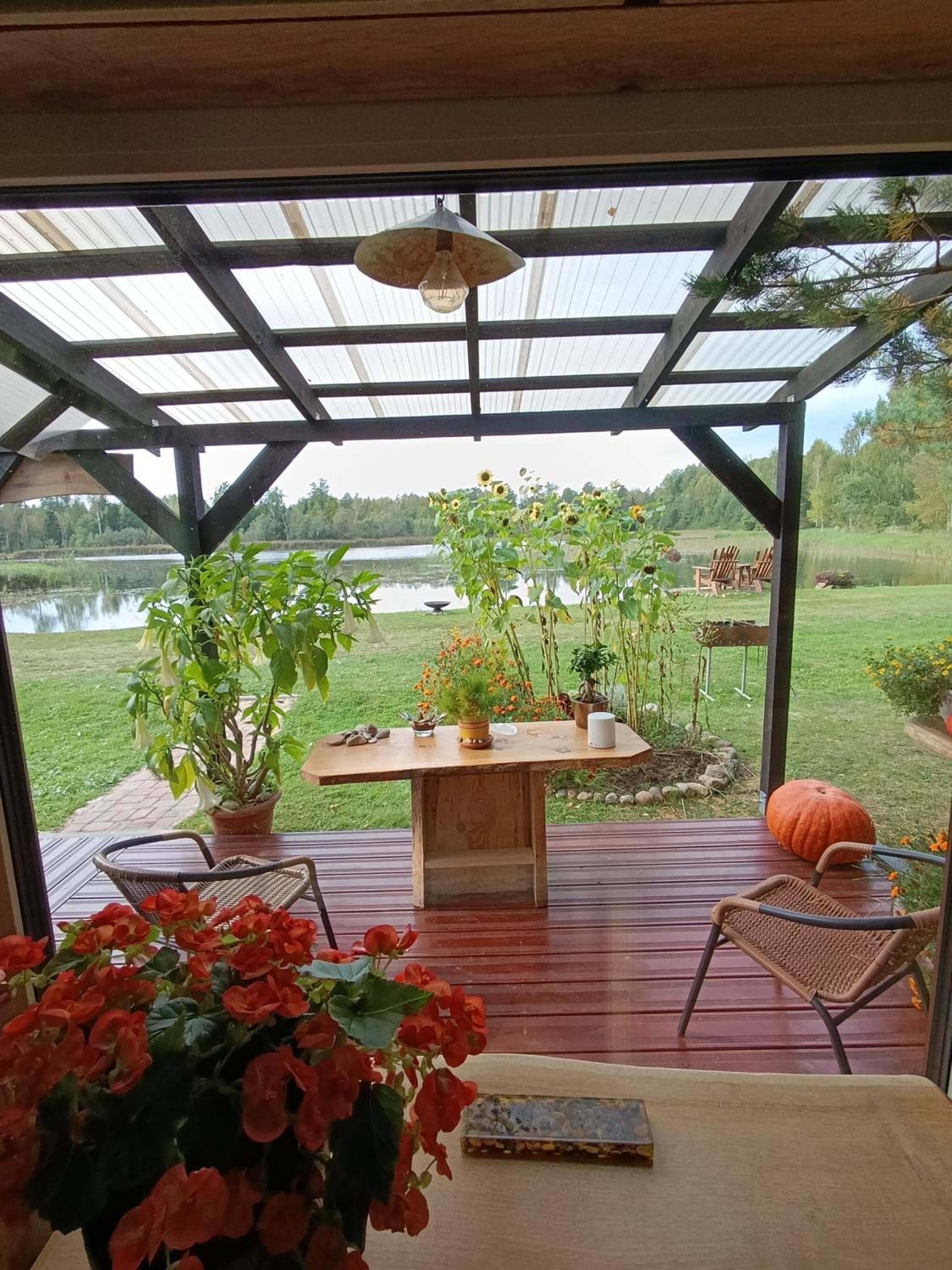 Skujiņa