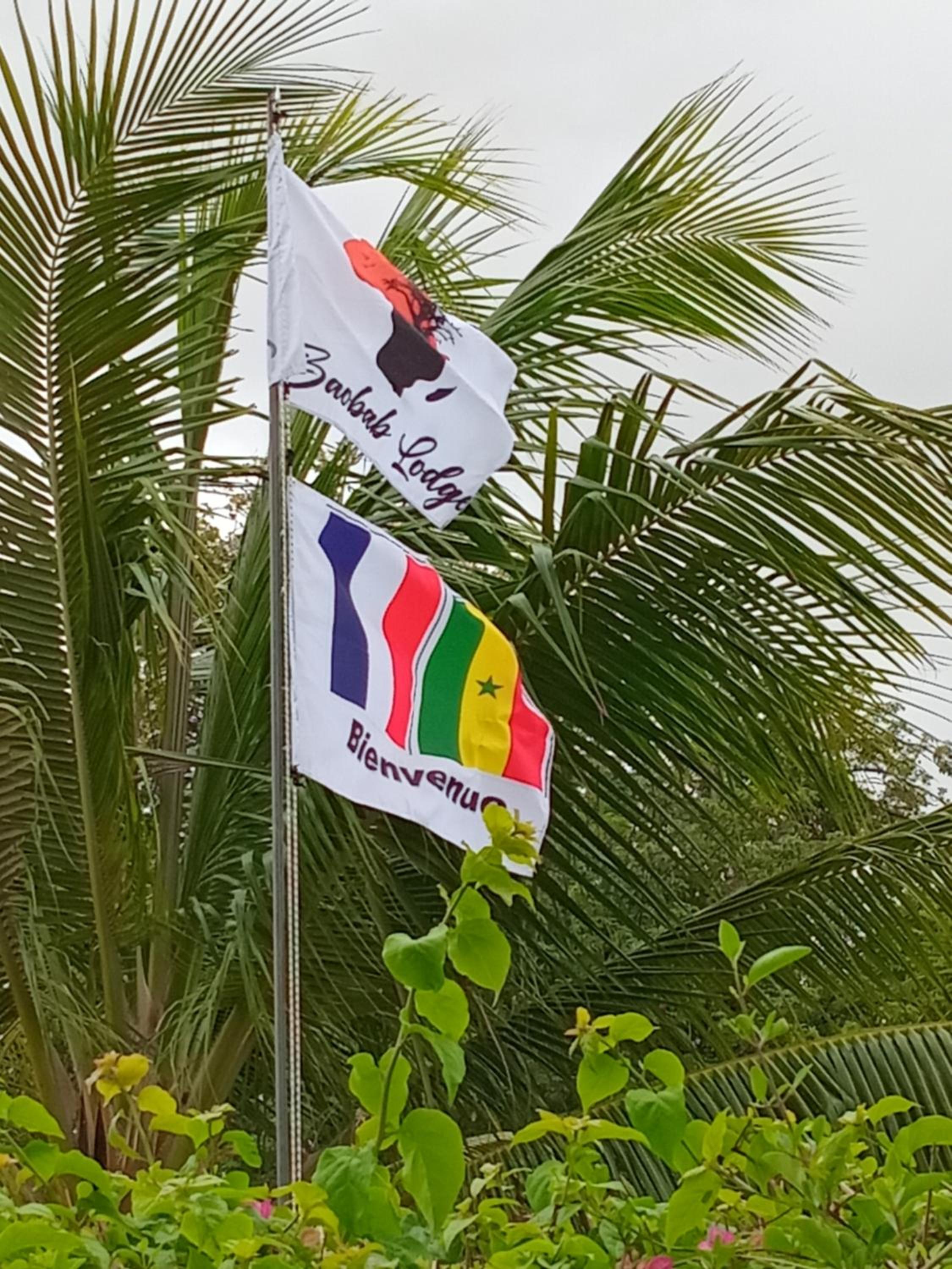 Baobab Lodge