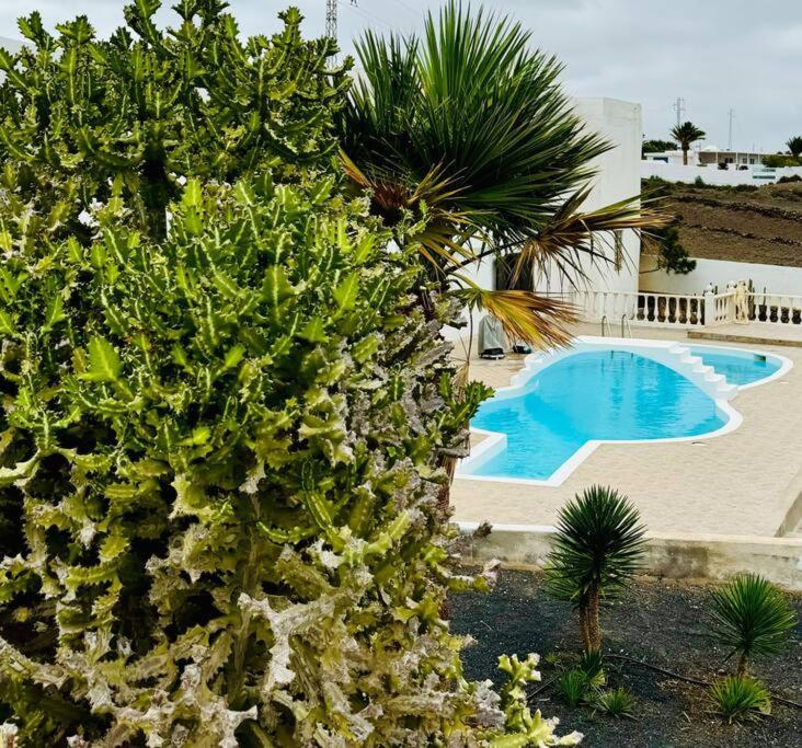 Villa PiedraNegra