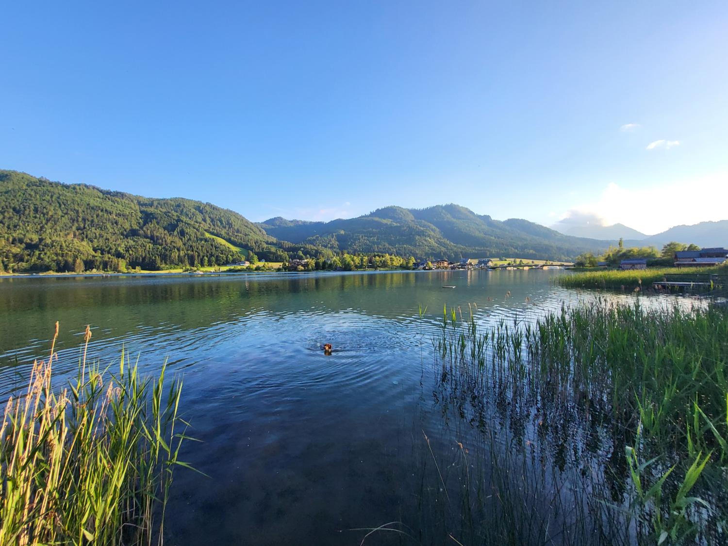 Haus Lackner am Weissensee in Kärnten