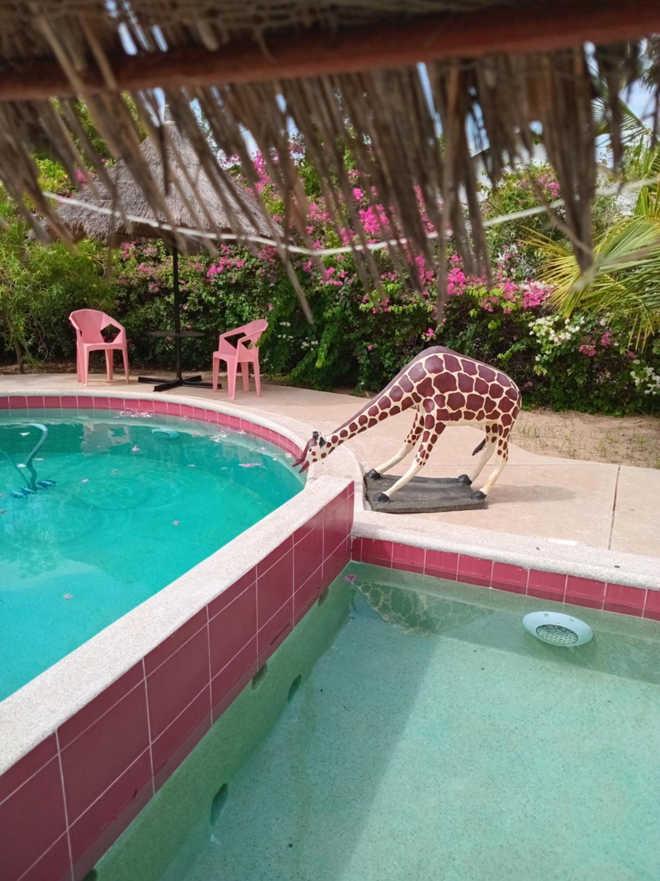 Baobab Lodge