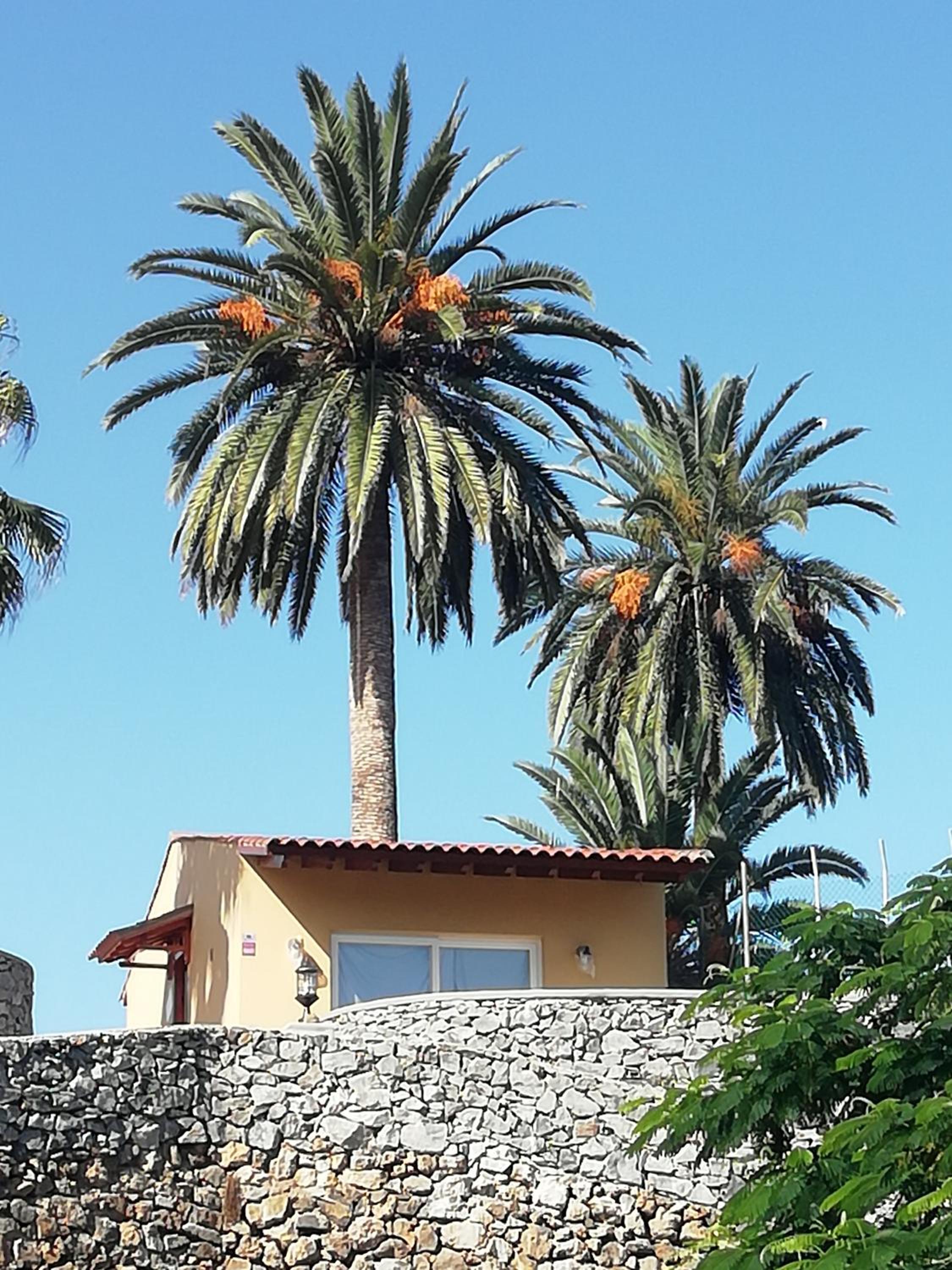 Finca Las Tapias, Glorieta