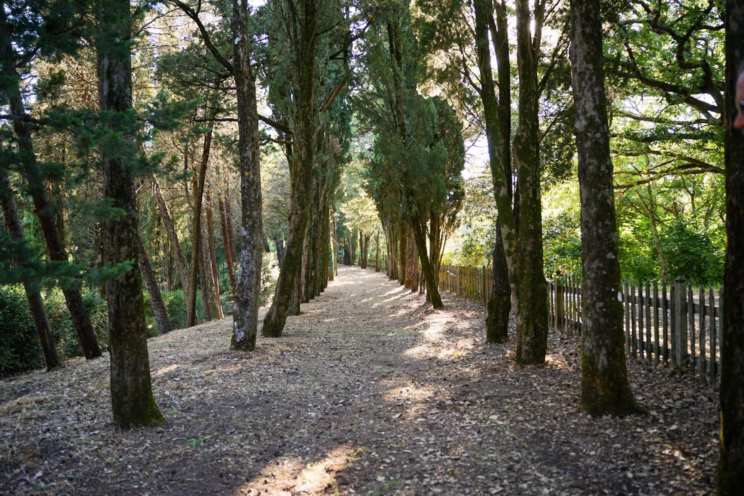Borgo di Camporsevoli