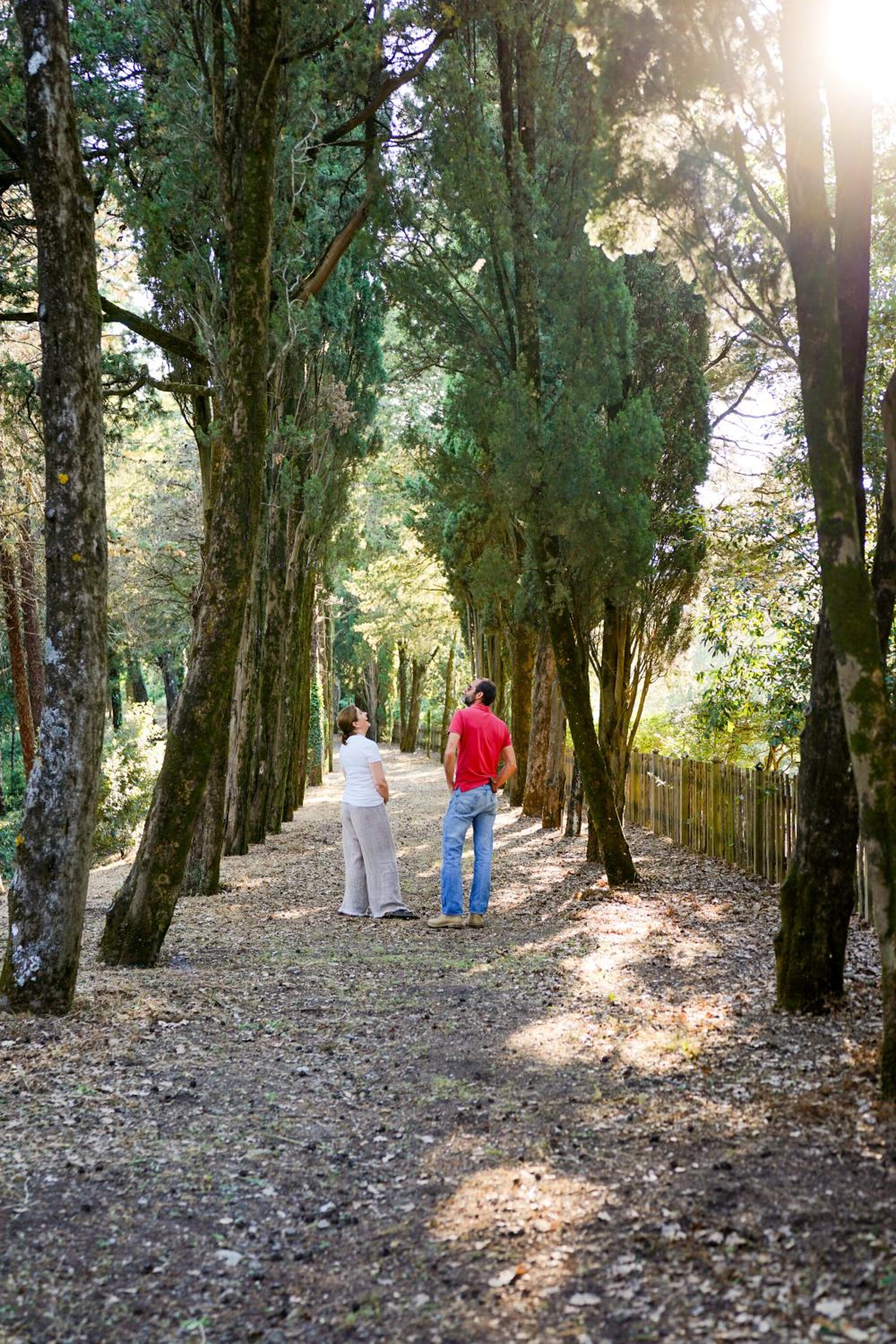 Borgo di Camporsevoli