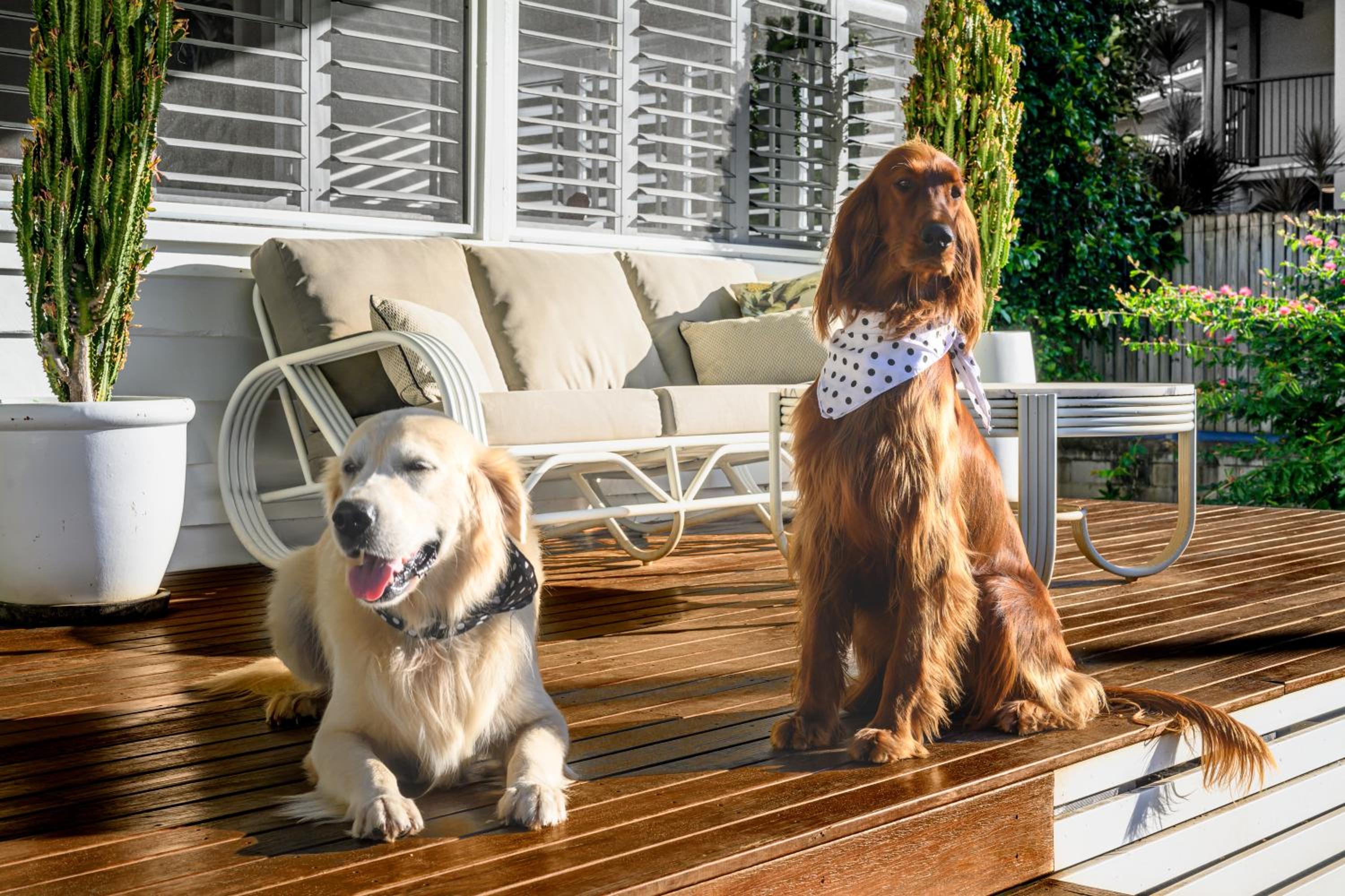 La Petite Boheme-Pet friendly - boat parking