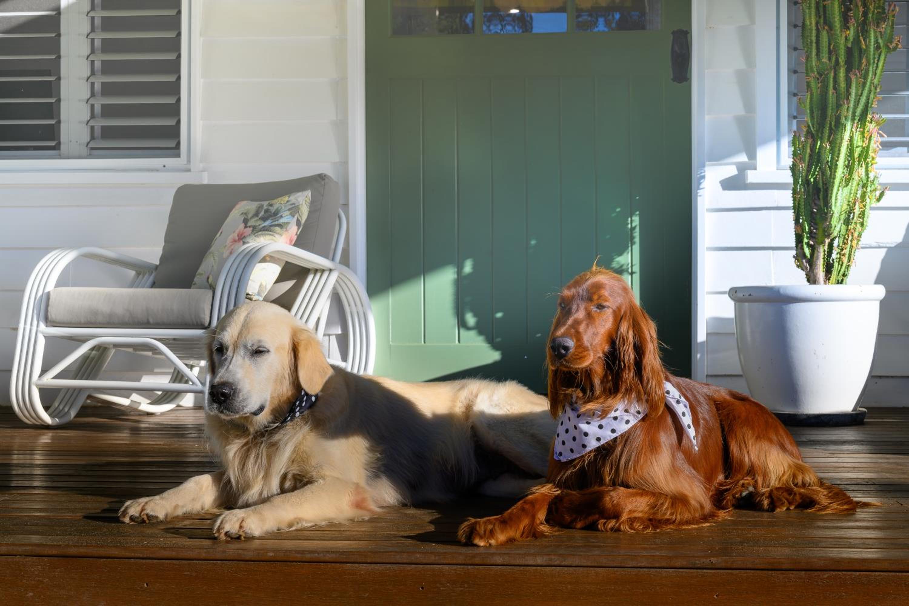 La Petite Boheme-Pet friendly - boat parking