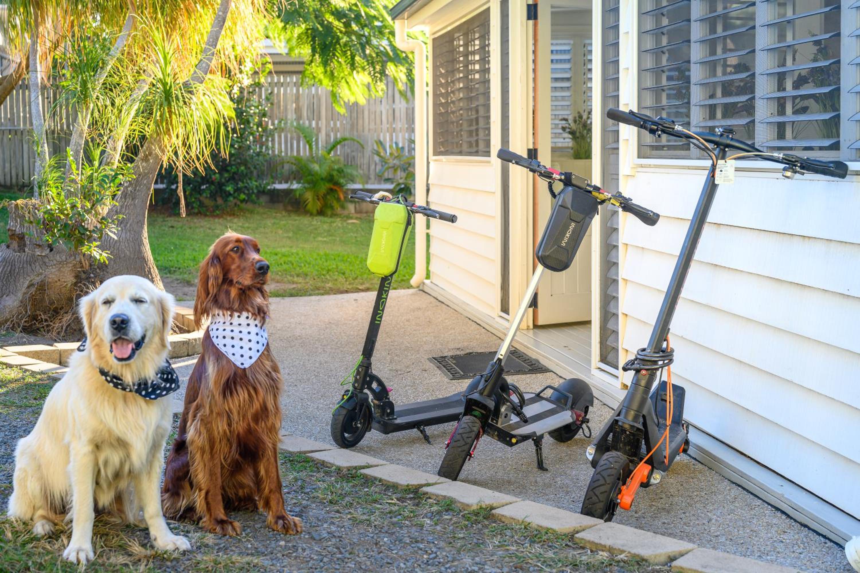 La Petite Boheme-Pet friendly - boat parking