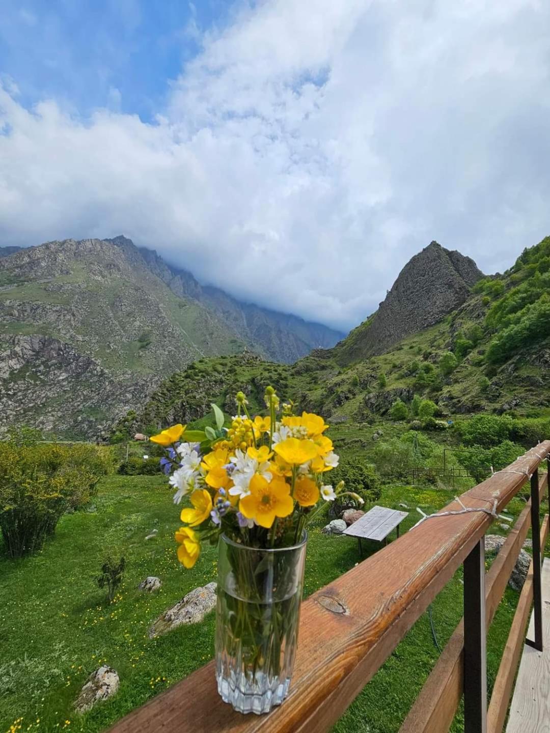 Off Inn Kazbegi view 2
