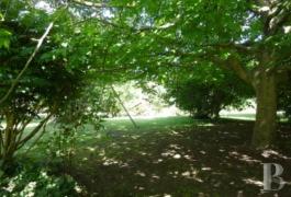 Photo 34