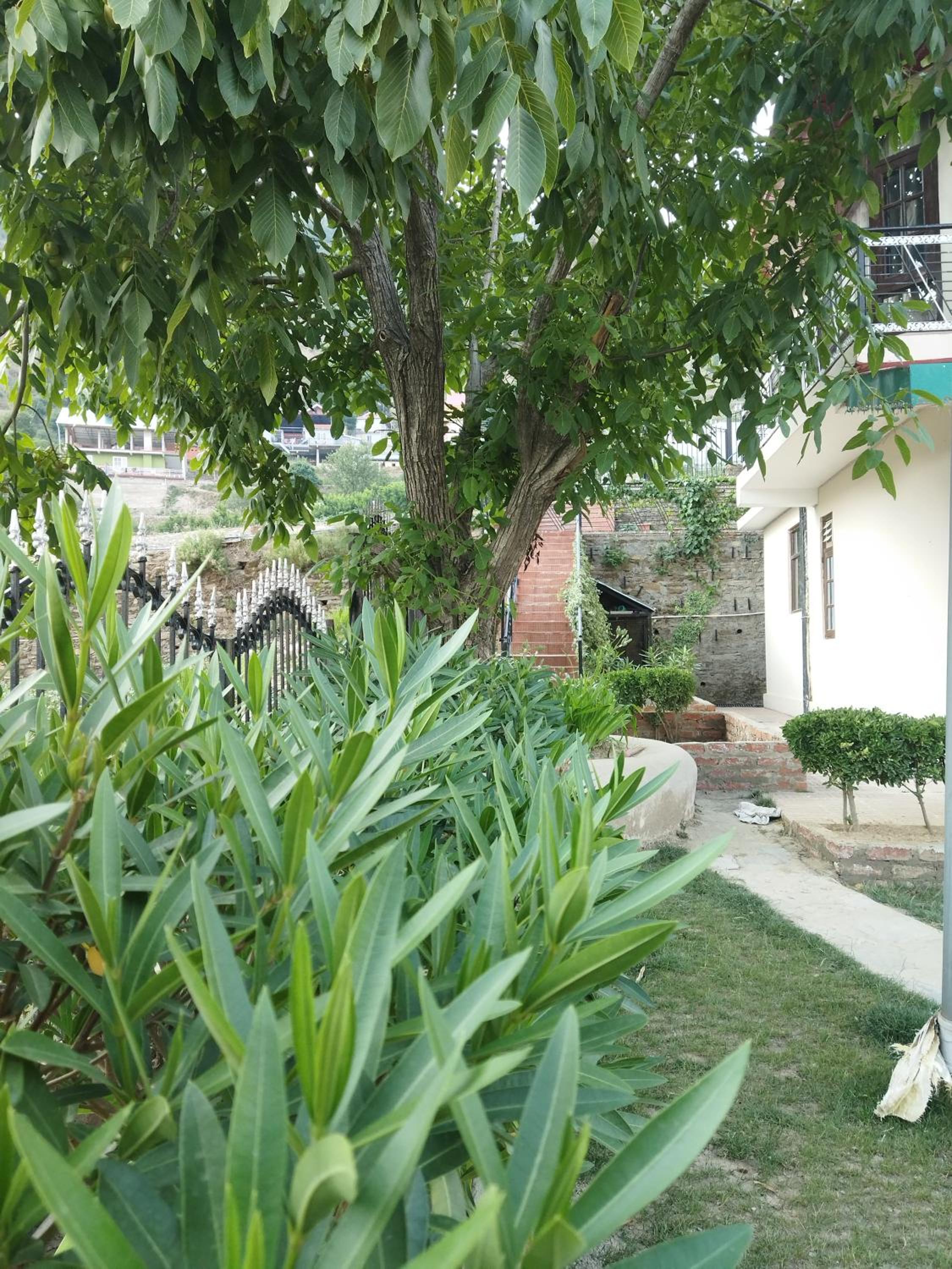 Photo 33