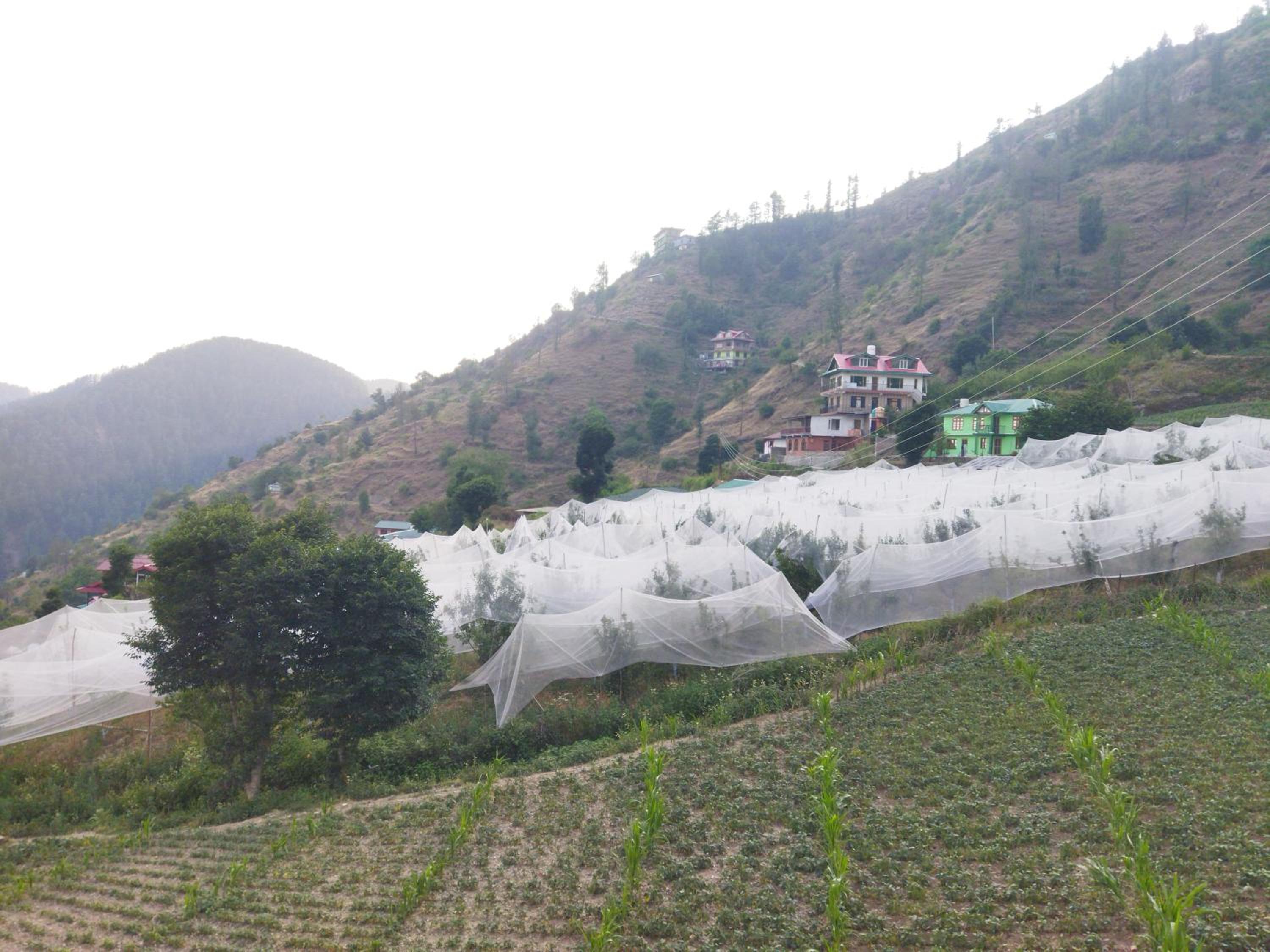Antara - A Boutique Villa By Shivaneel Hospitality, Chail