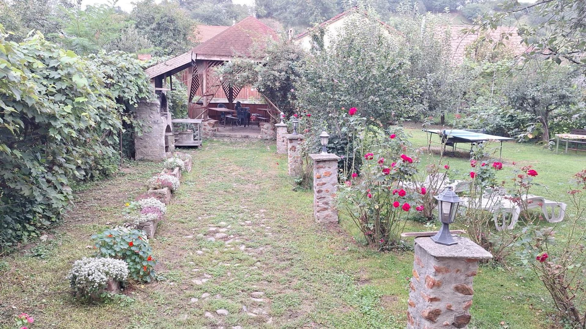 Photo 11