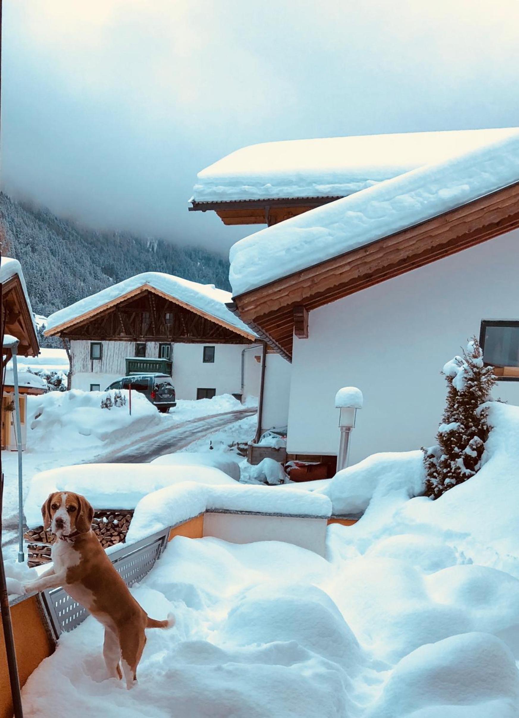 Ferienhaus Sellraintal