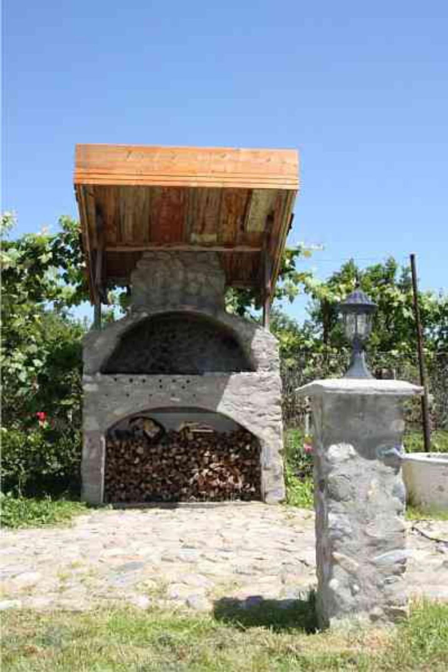 Pensiunea Bendorfeanu view 3