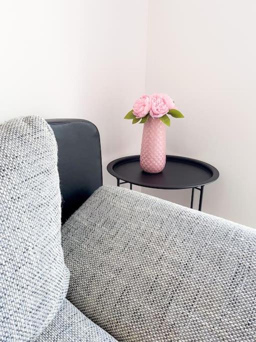 FREE PARKING apt with GRAND TERRACE