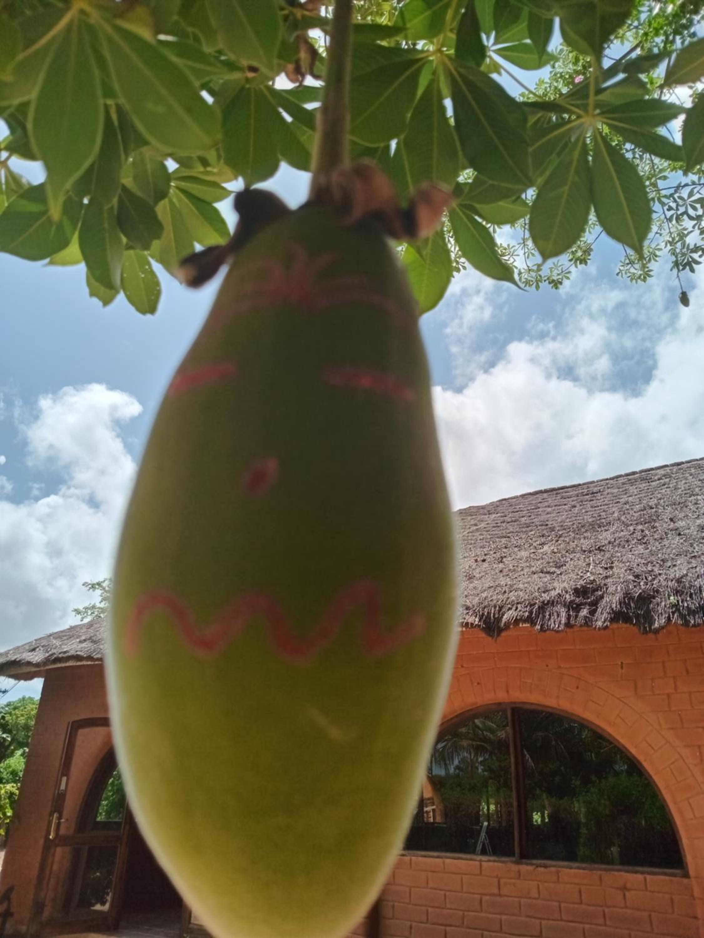 Baobab Lodge