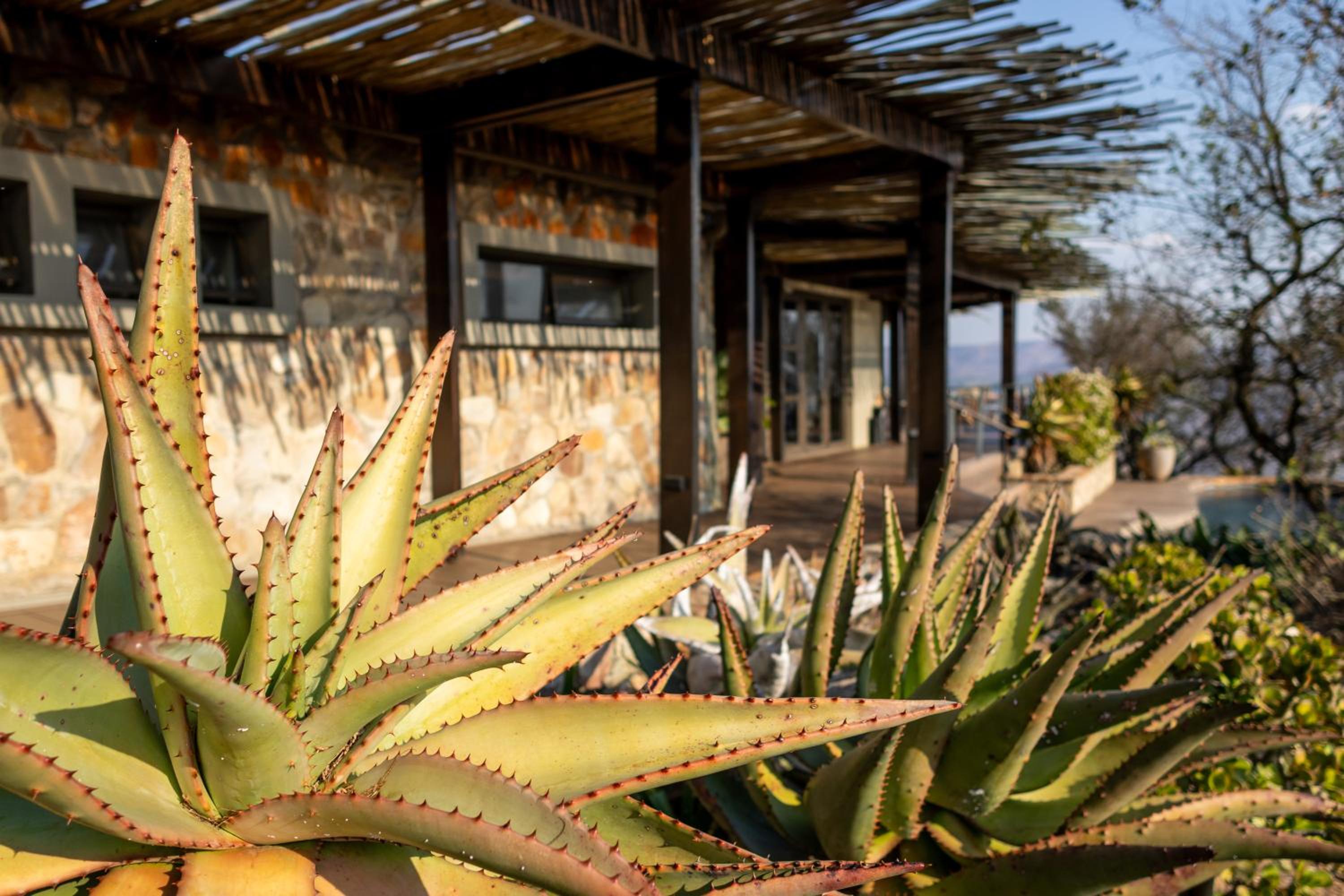 Zulu Rock Lodge - Babanango Game Reserve