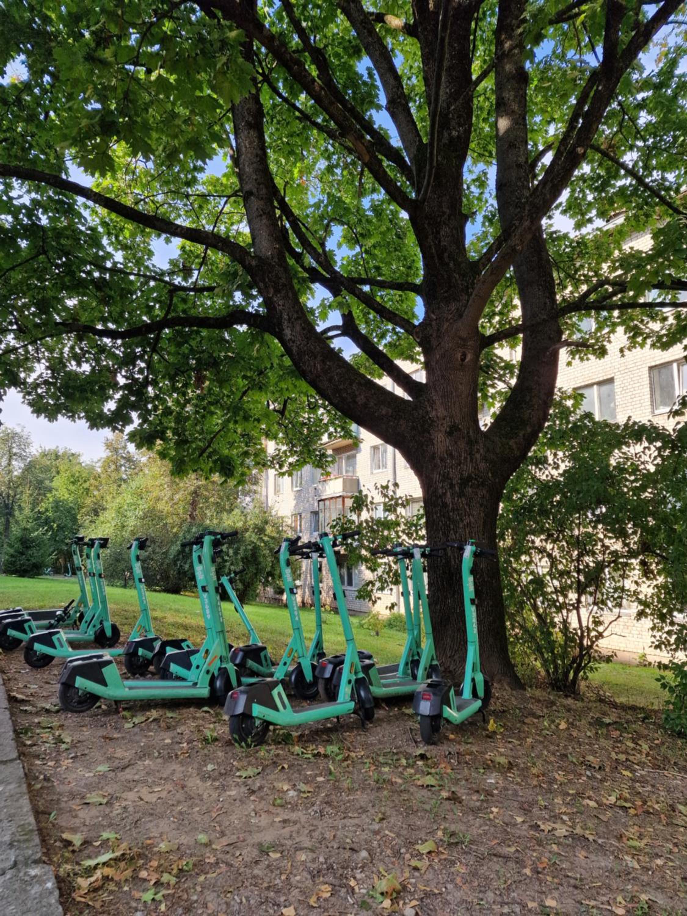 Vandentiekio apartamentai