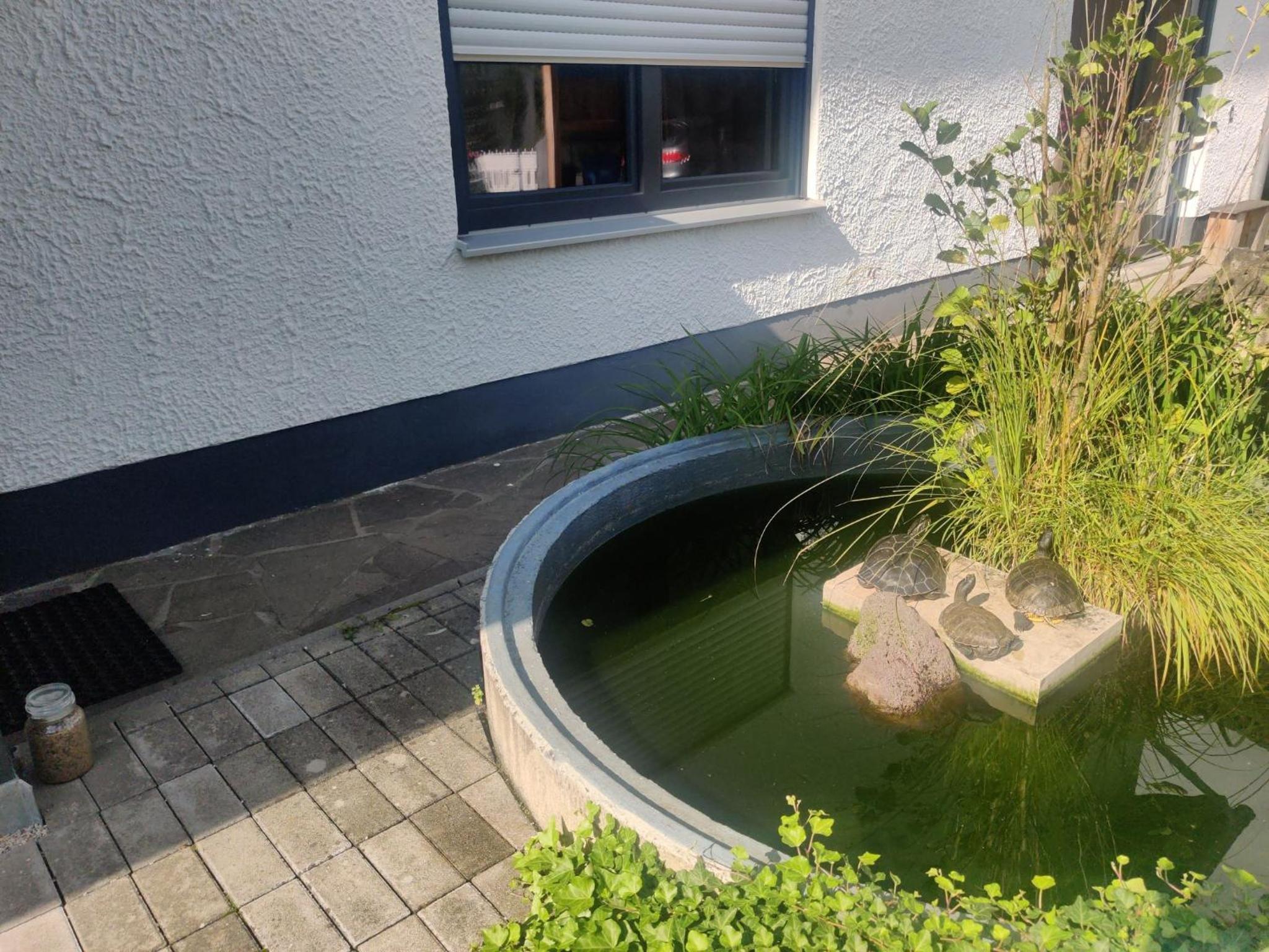 Ferienwohnung Koch mit Terrasse