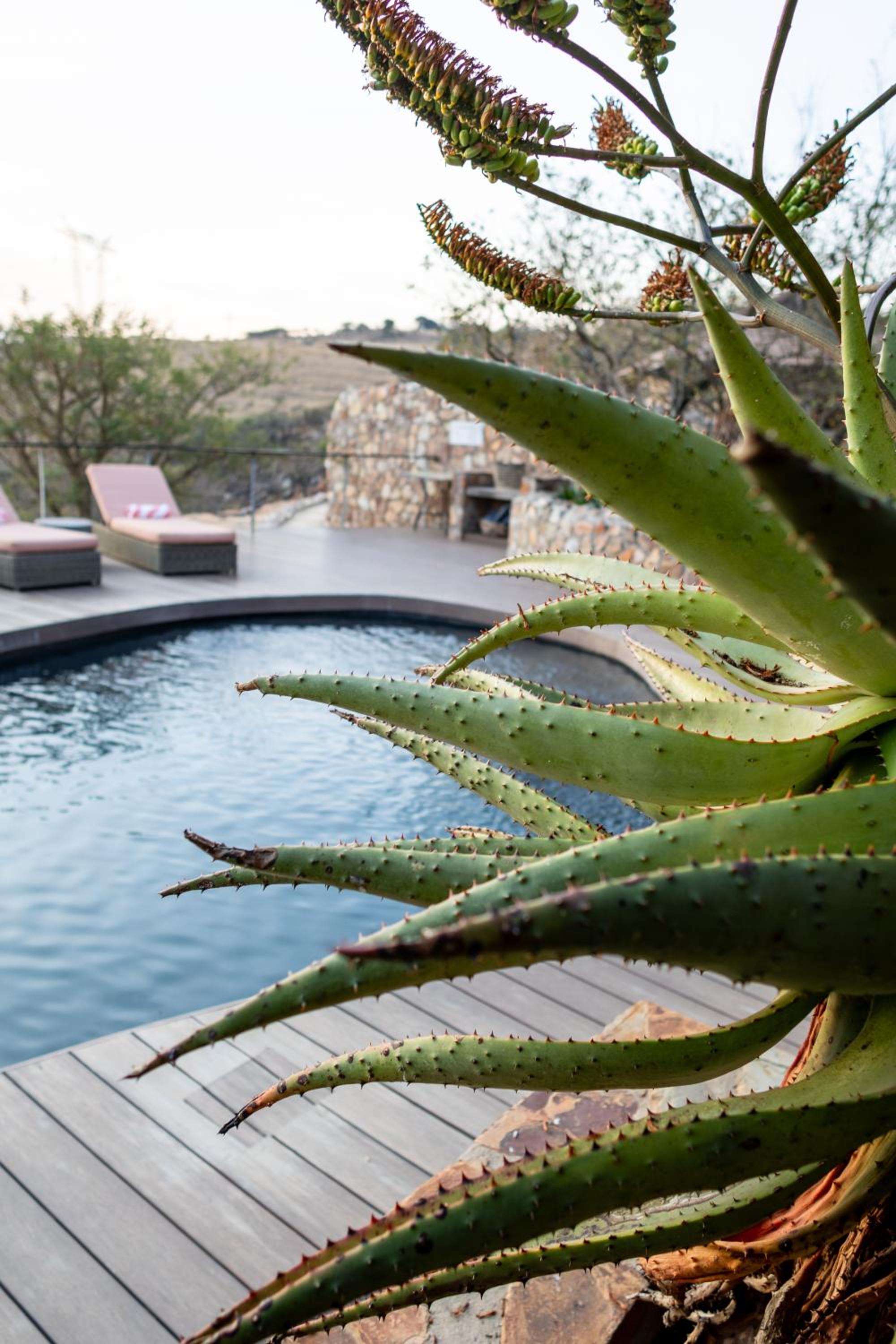 Zulu Rock Lodge - Babanango Game Reserve