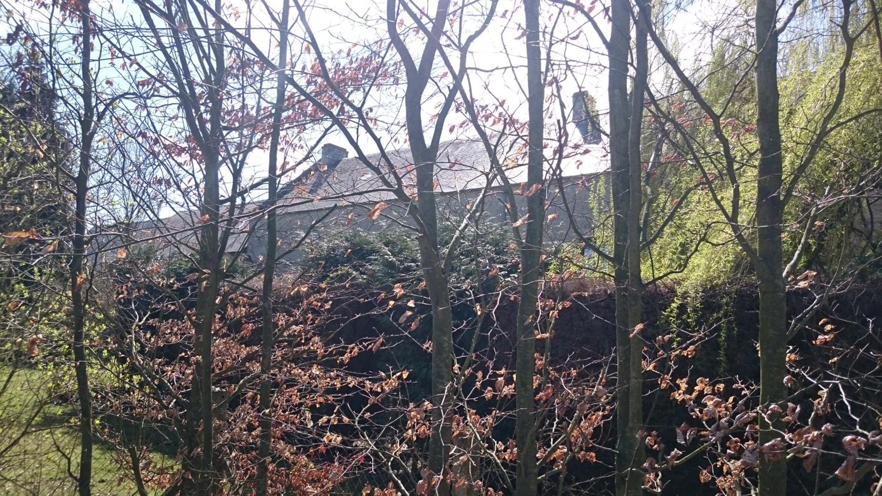 Photo 42