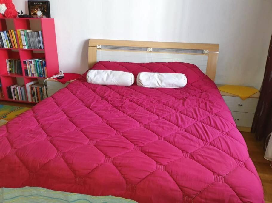 Flat in Tirana, Rruga 5 Maji, Tirane