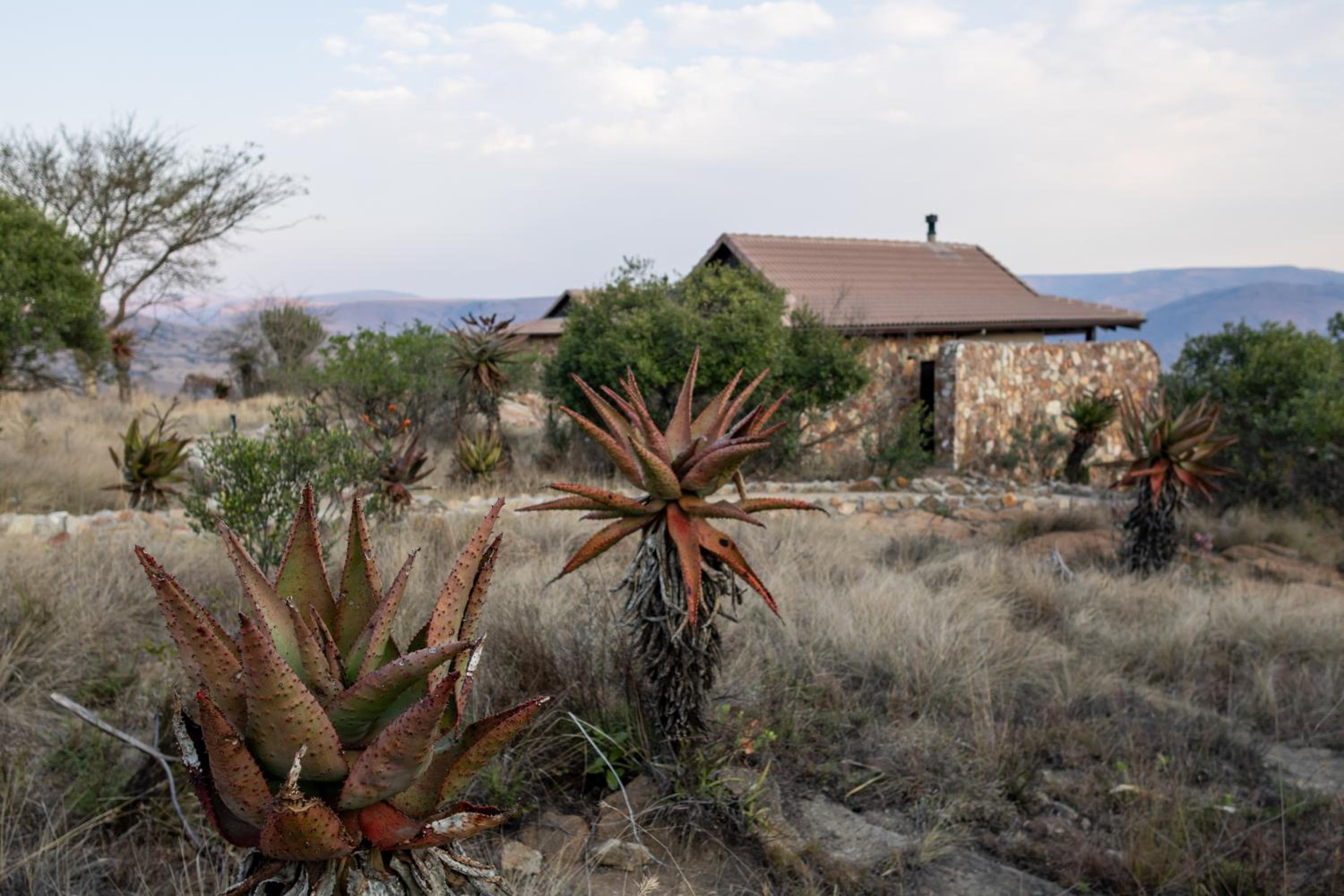 Zulu Rock Lodge - Babanango Game Reserve
