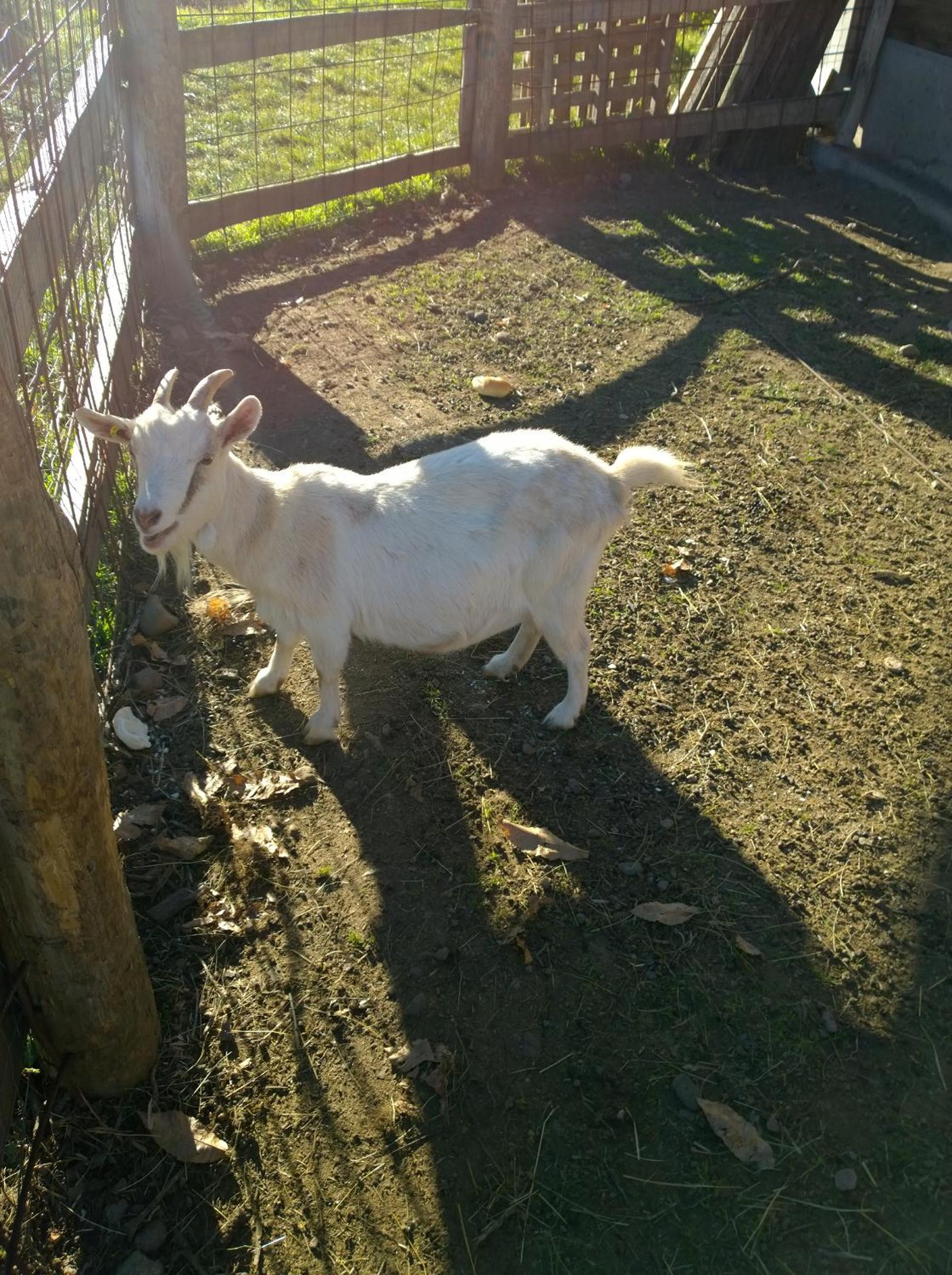Agriturismo Le Cavade