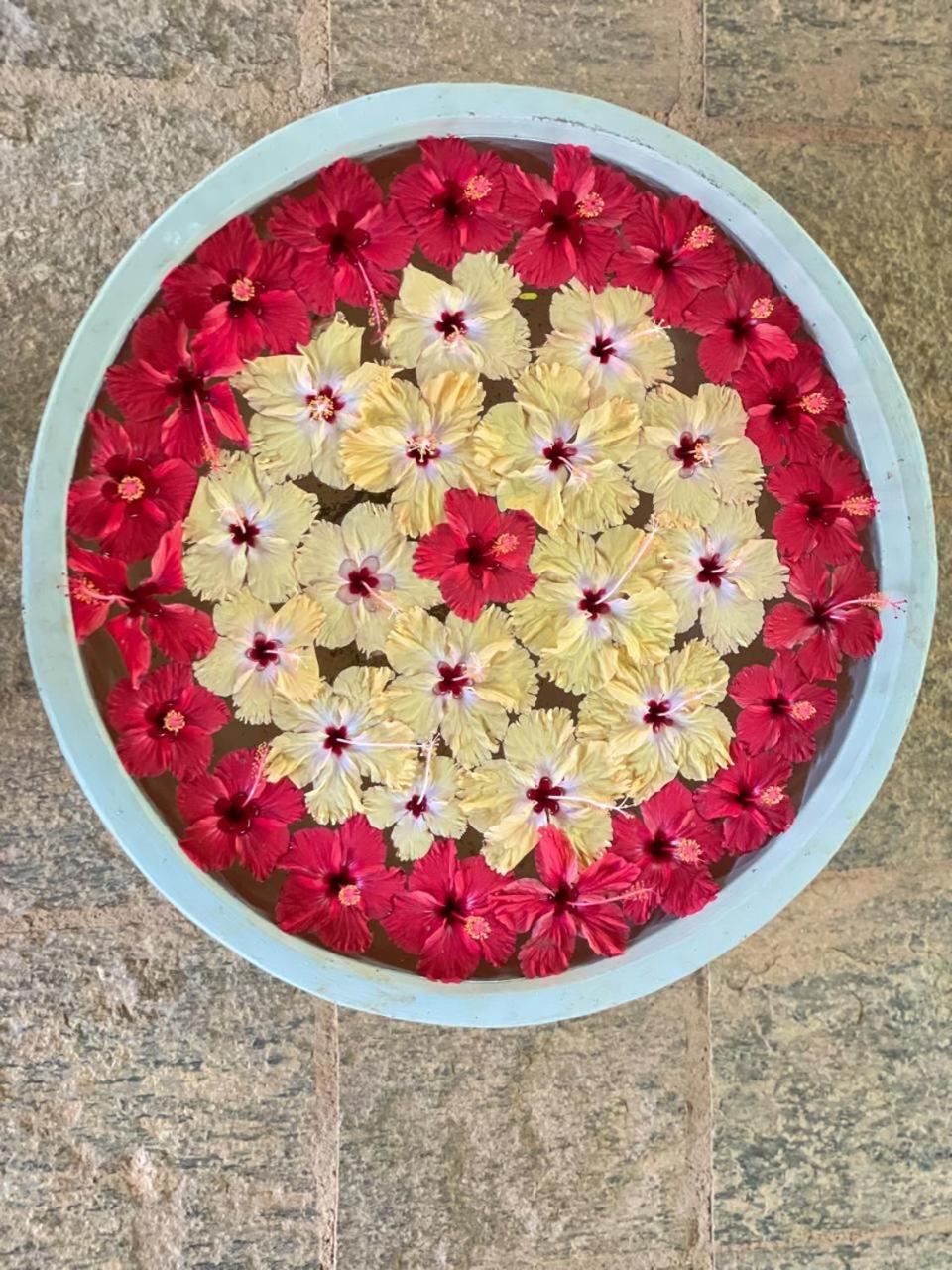Praana Ayurvedic Boutique Villa