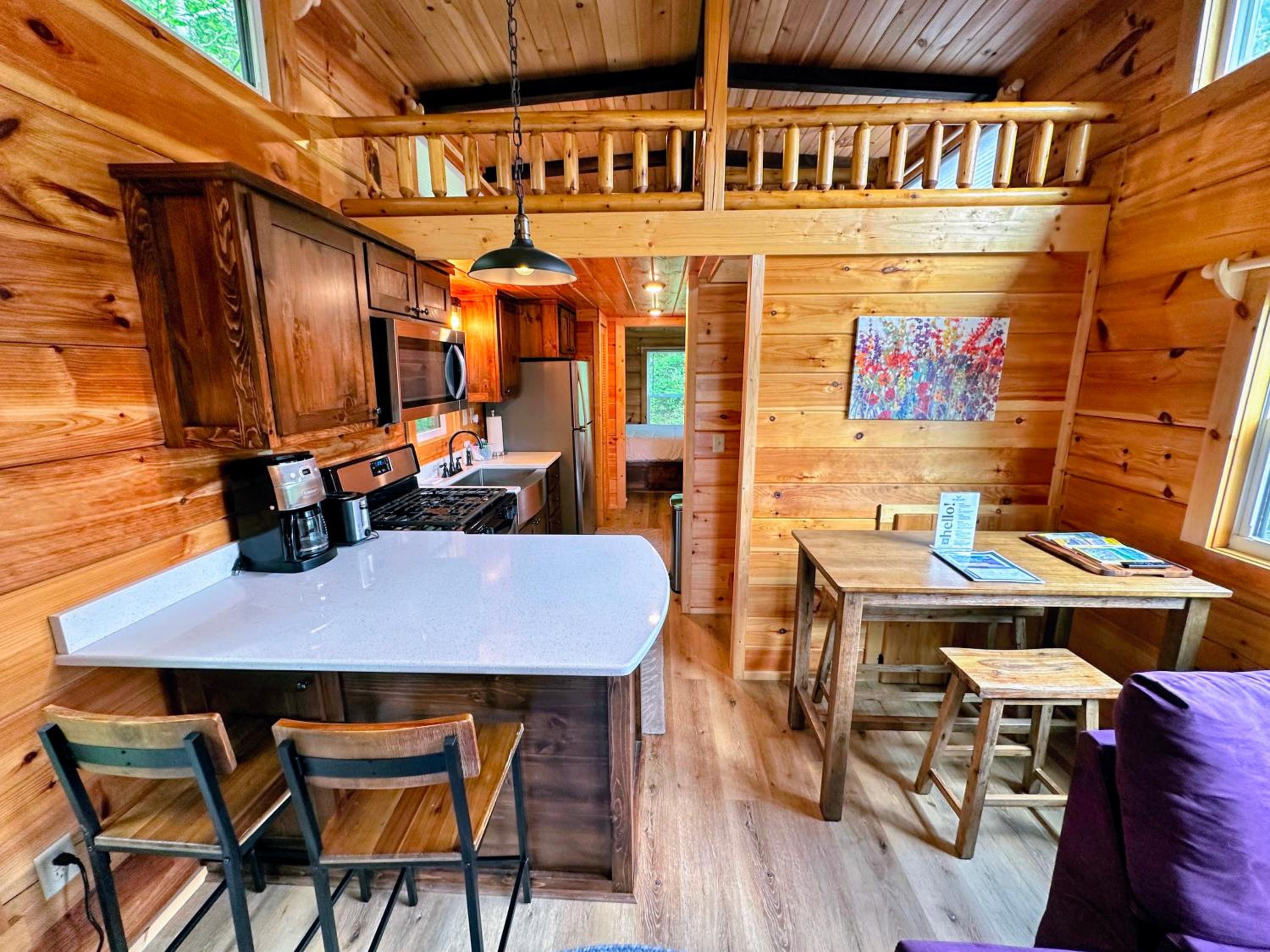 B11 NEW Awesome Tiny Home with AC Mountain Views Minutes to Skiing Hiking Attractions view 3