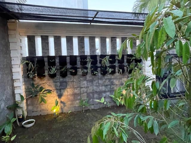 Villa Elsye view 2