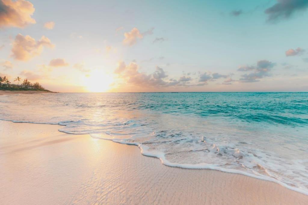 Seaside Escape in a 5 Star Resort