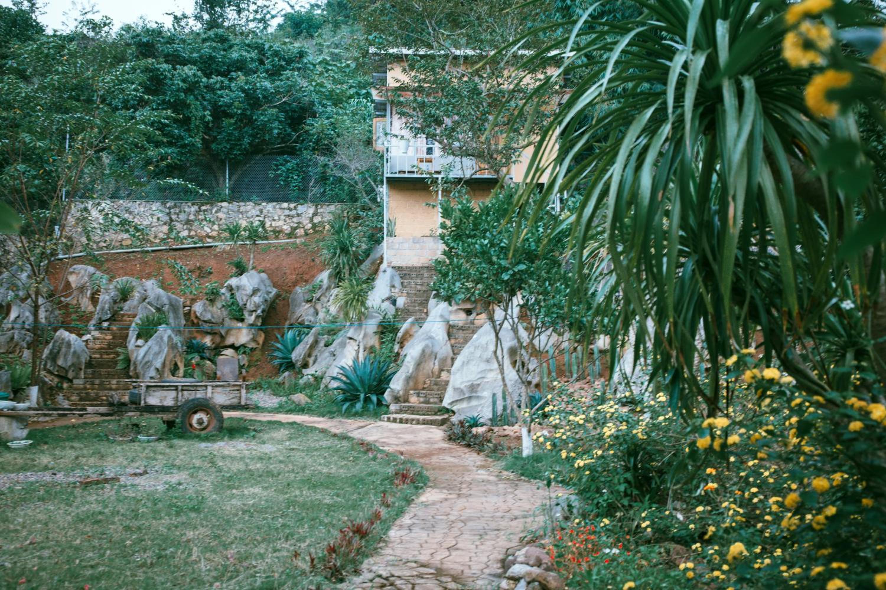 Photo 43