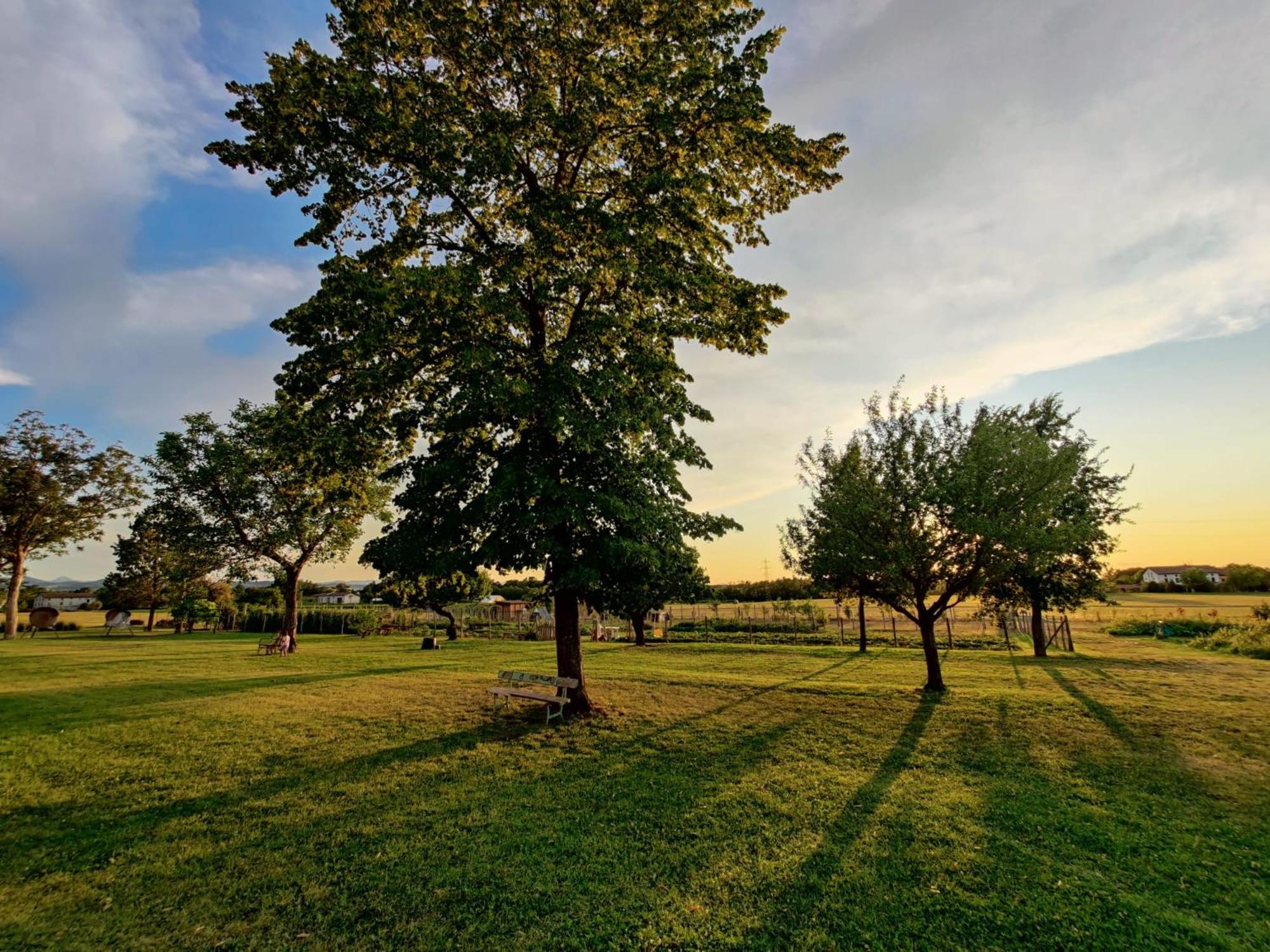 Antico Podere Emilia view 3