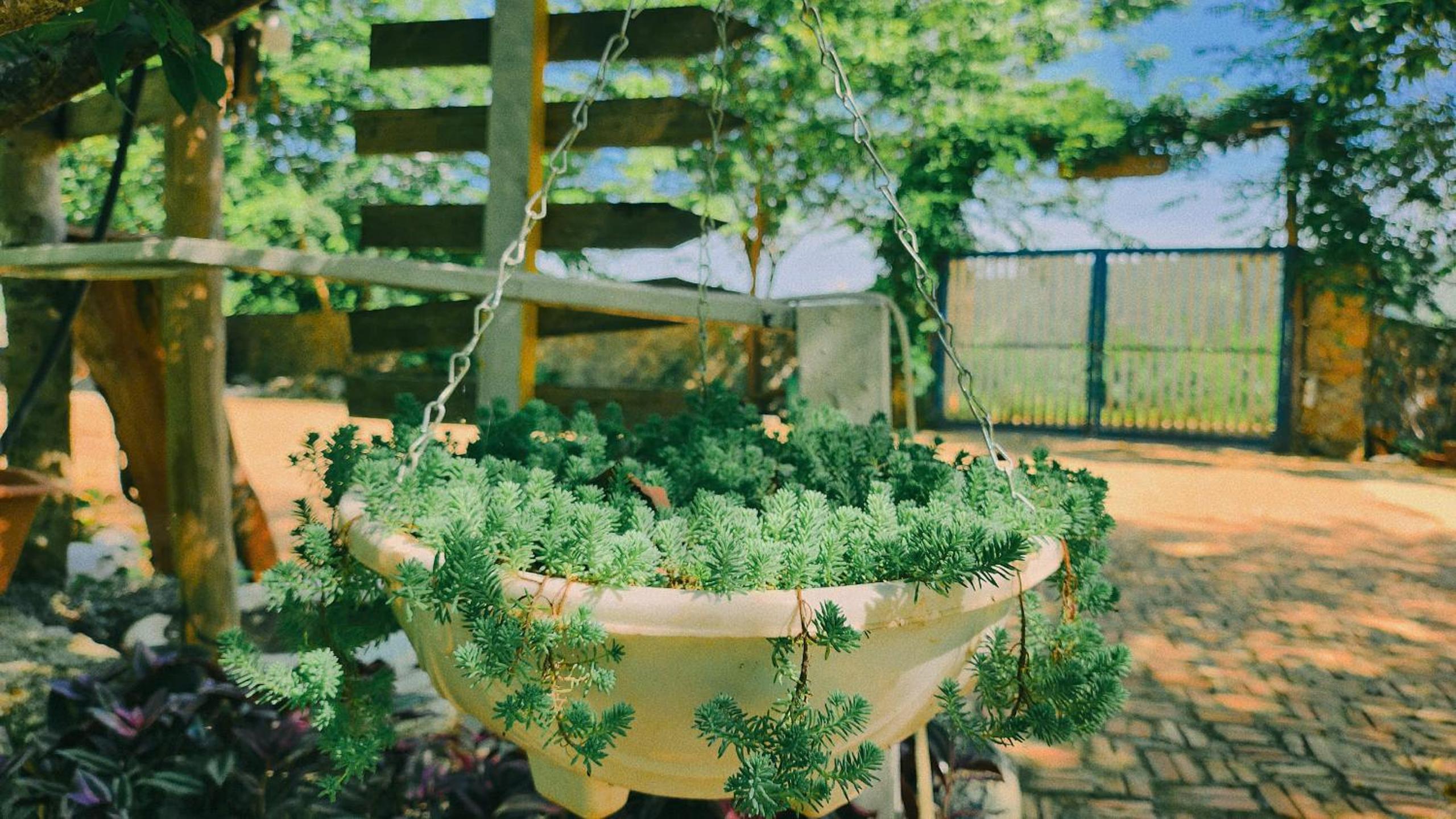 Na's House Mộc Châu Homestay view 5