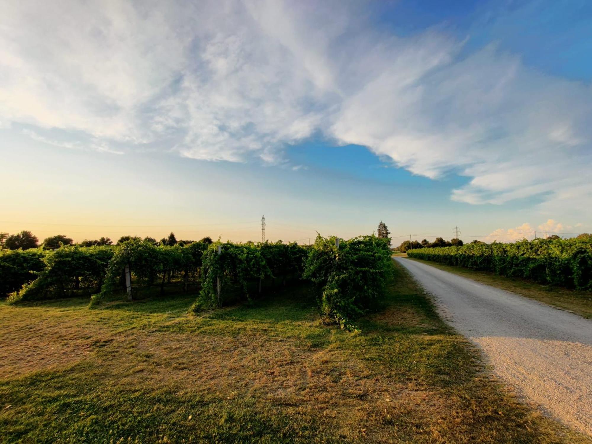 Antico Podere Emilia view 4