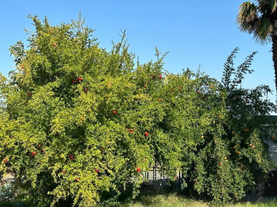 Charming 3 Bedroom Farmhouse Retreat with Open Deck - Property Image 10