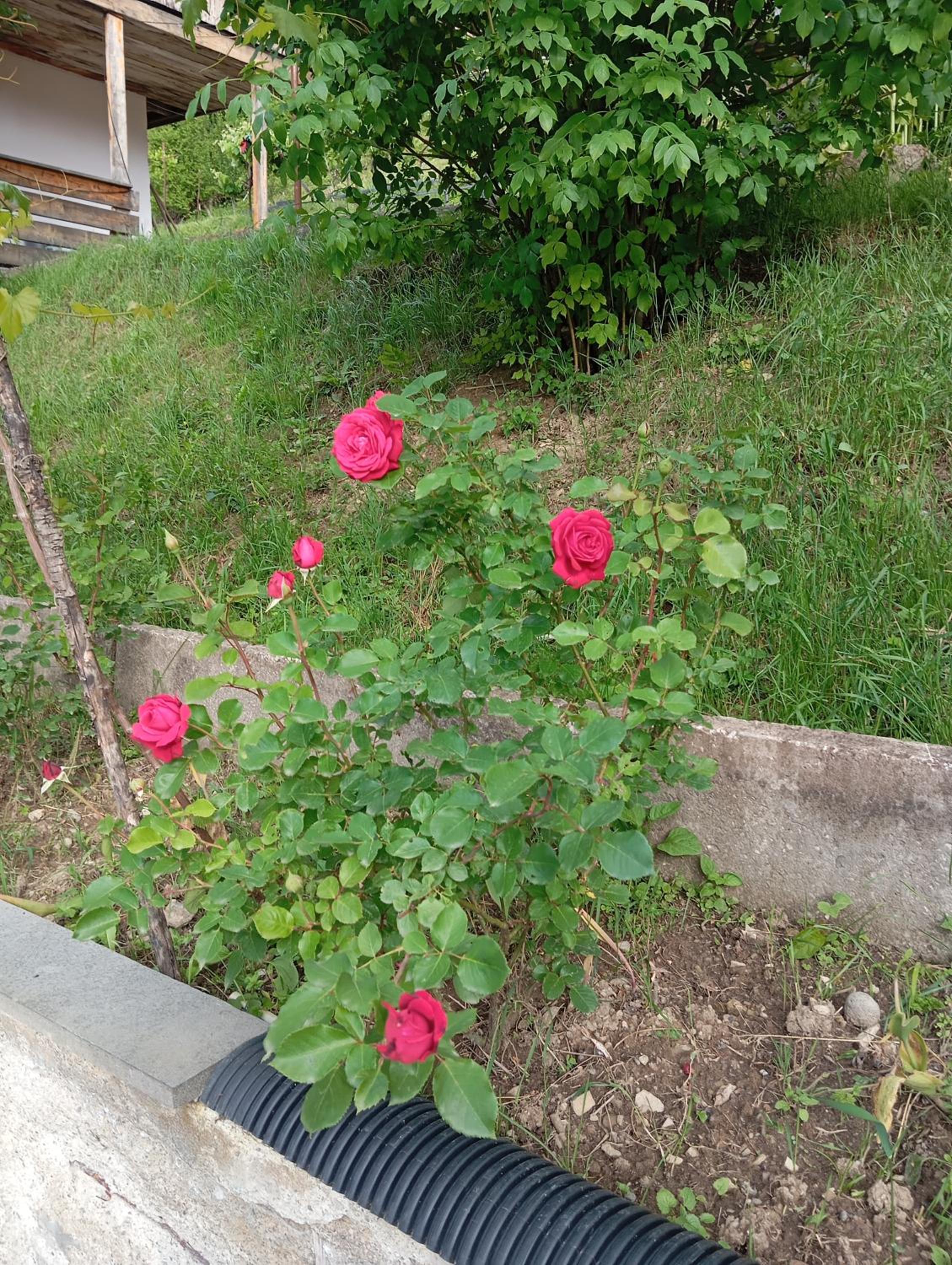 Photo 13