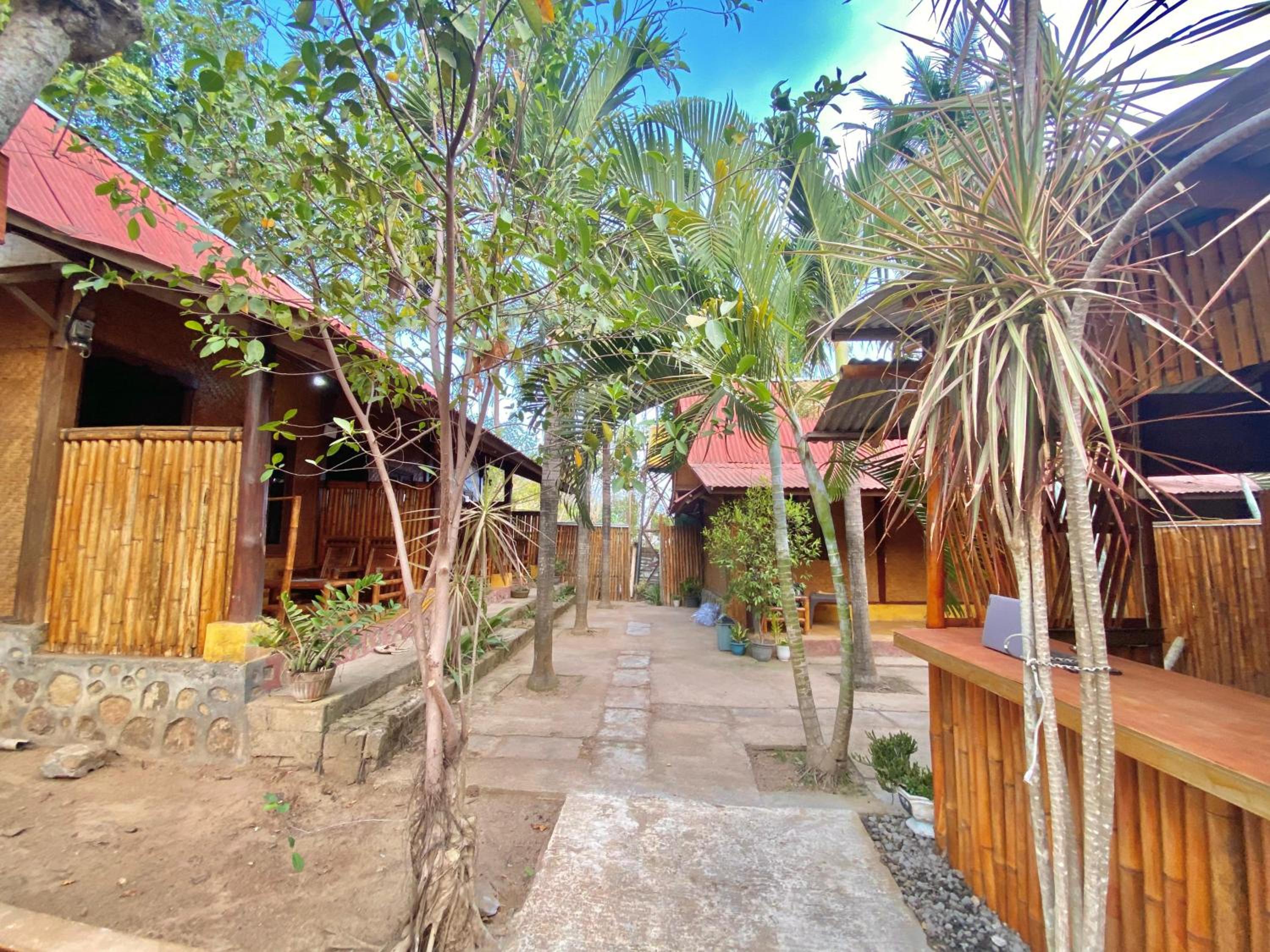 Photo 20