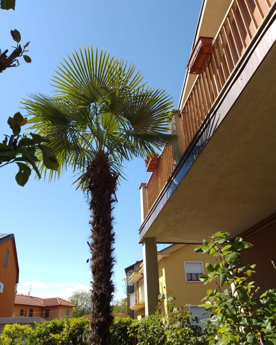 La Magnolia view 3