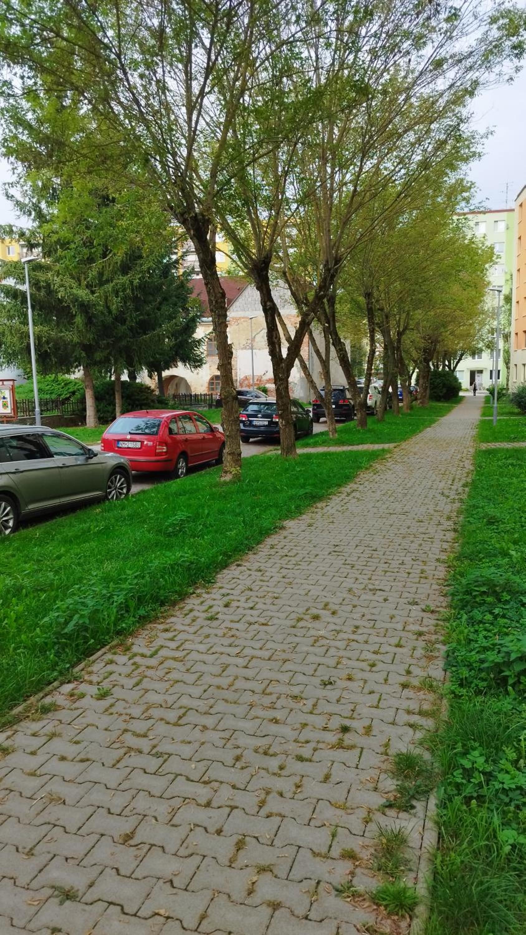 Photo 12