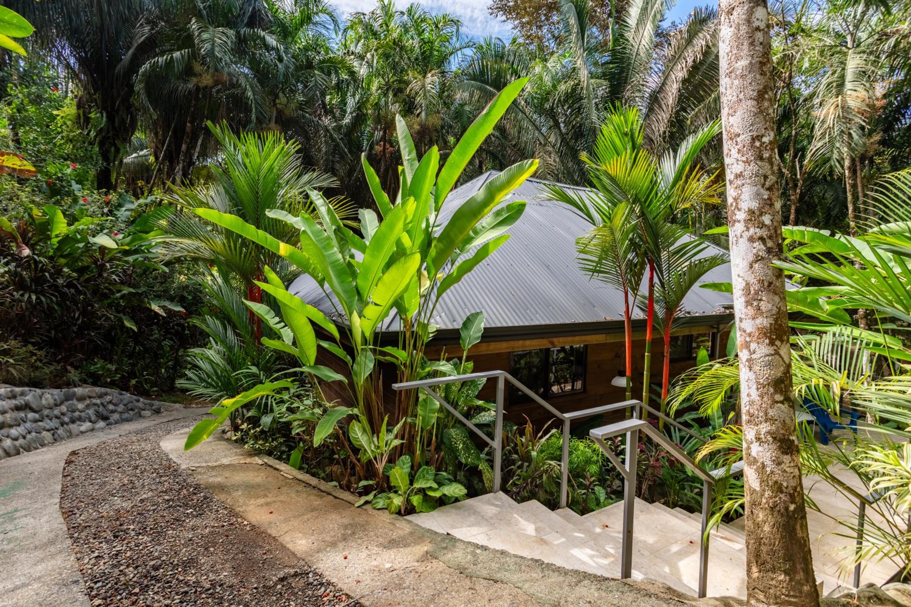 Casa Serena - Tranquil Jungle Gem Near the Beach